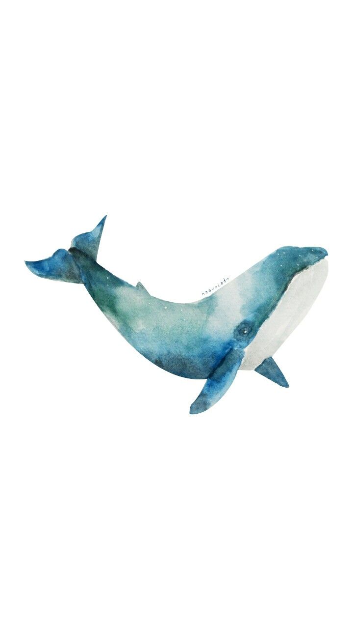 Naavocado: Whale Watercolor by Me #illustration #watercolor #whale # wallpaper. Watercolor whale, Watercolor ocean, Watercolor sea