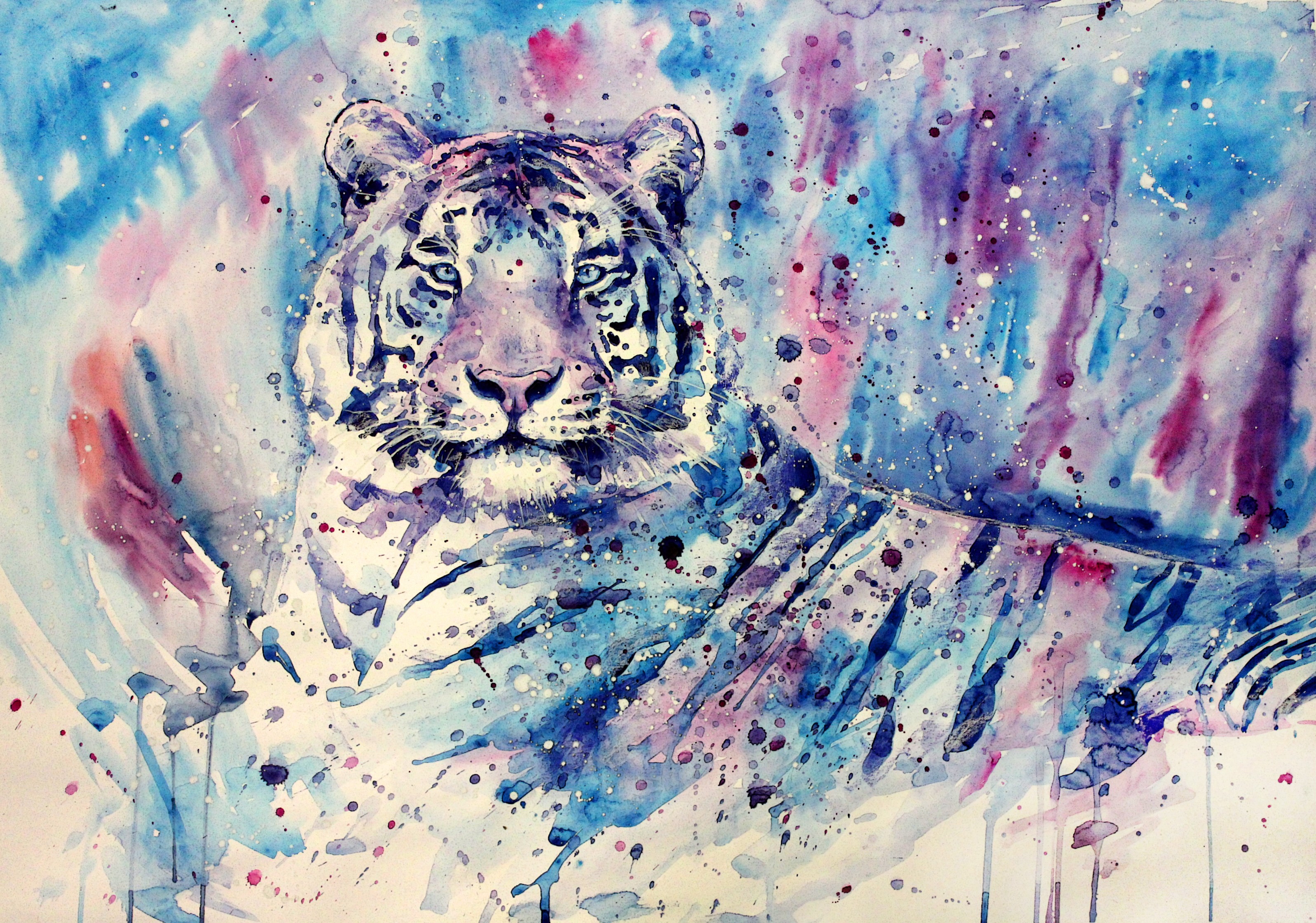 Wallpaper, drawing, painting, illustration, animals, artwork, purple, tiger, blue, white tigers, ART, sketch, modern art, acrylic paint, watercolor paint 3192x2238