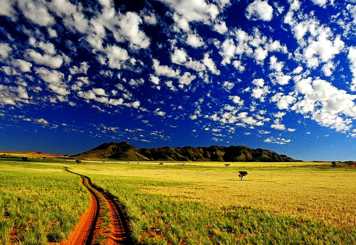 HD wallpaper Field. Download Free background