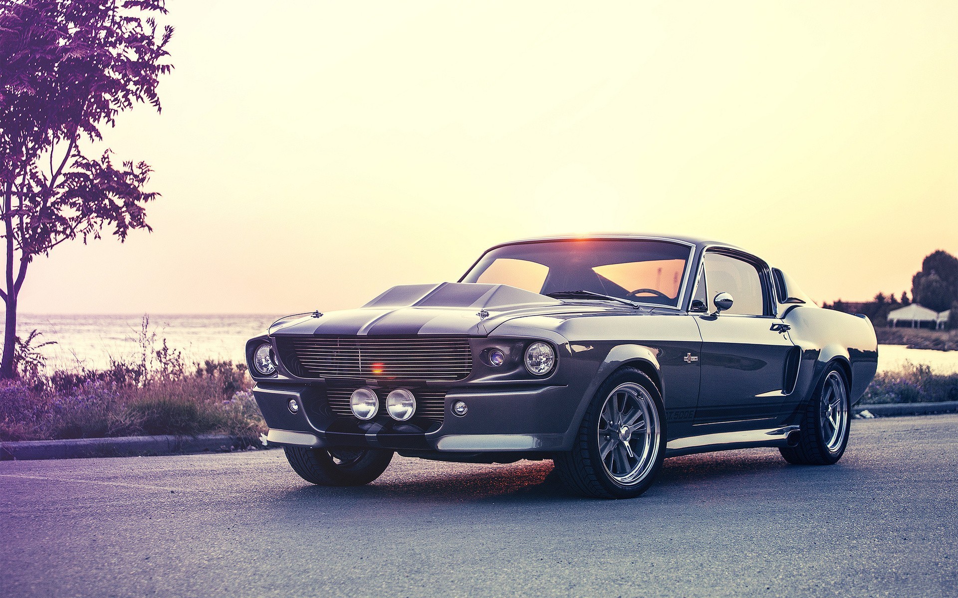 Ford Mustang Shelby GT350 4K, Muscle Car, Car, Ford Mustang, Black Car, Ford, Ford Mustang Shelby Gallery HD Wallpaper