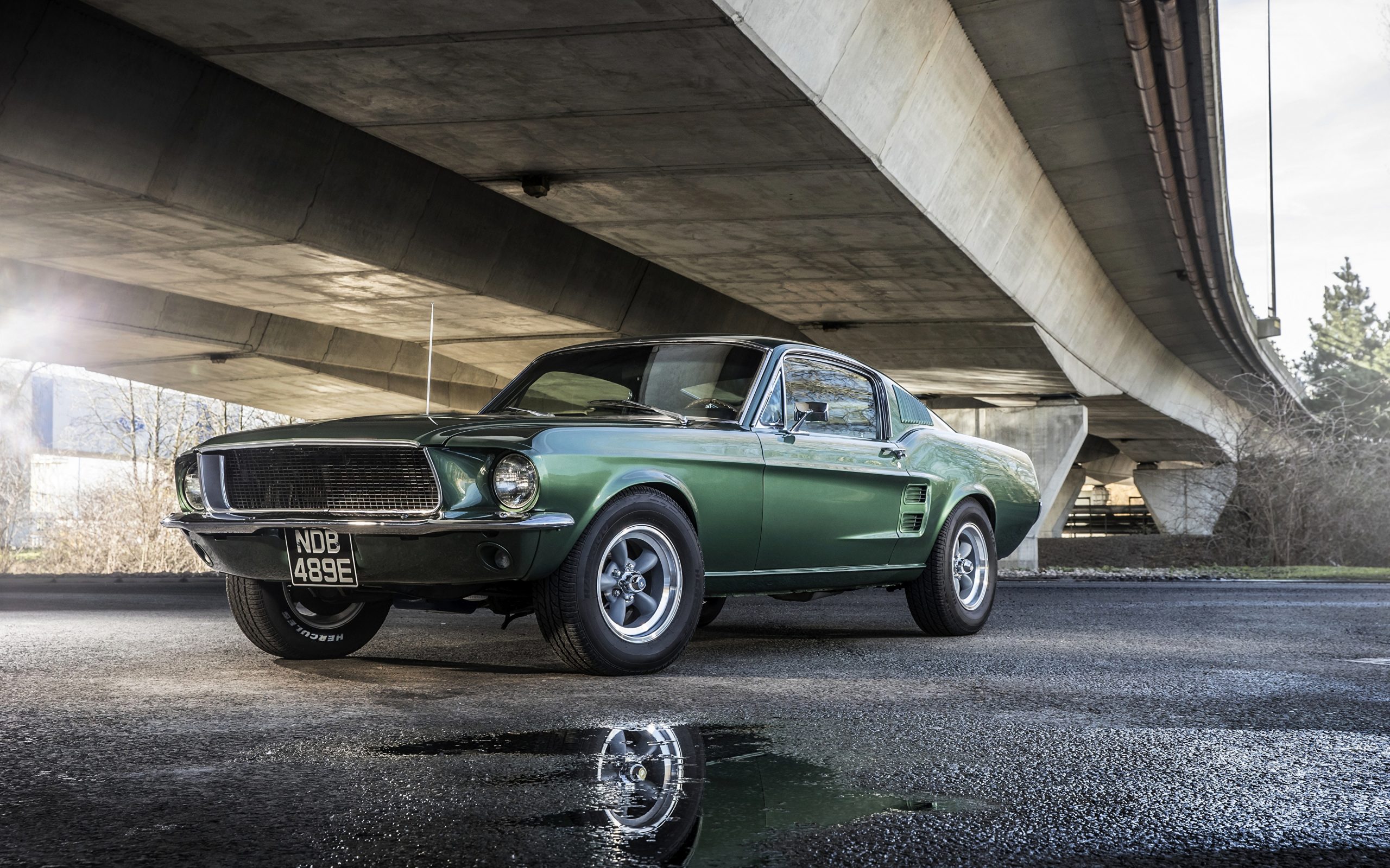 Ford Mustang Wallpaper