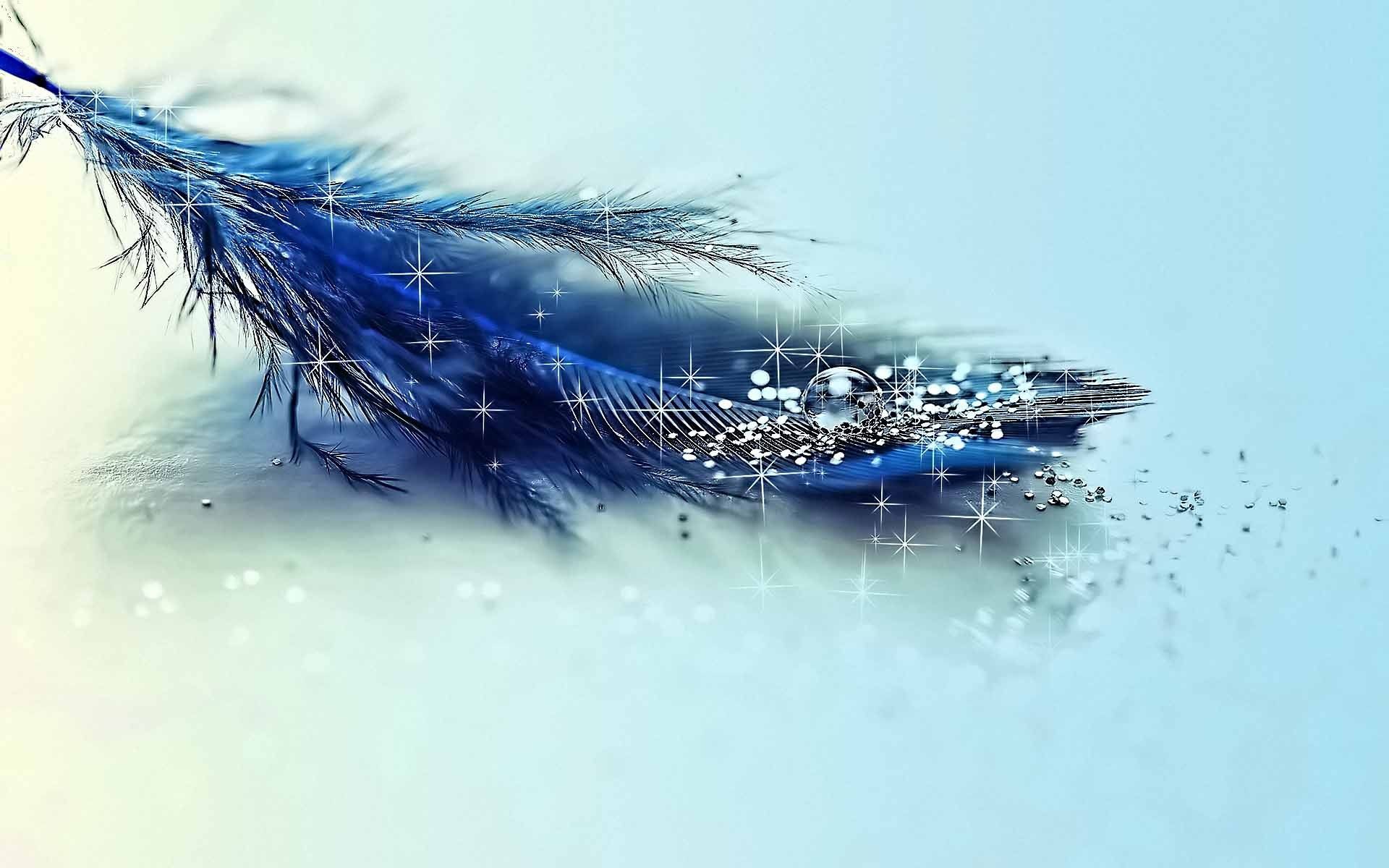 Free download sparkly blue feather Inspiration Feather wallpaper Blue [1920x1200] for your Desktop, Mobile & Tablet. Explore Blue Feather Wallpaper. Peacock Feather Wallpaper, Feather Wallpaper, Feather Wallpaper