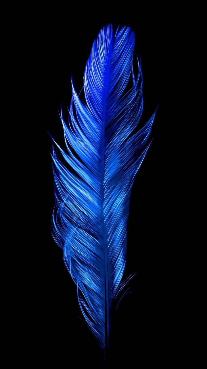 Download Blue Bird Feather wallpaper by Electric Art now. Browse mil. Feather wallpaper, Black wallpaper, Background wallpaper for photohop