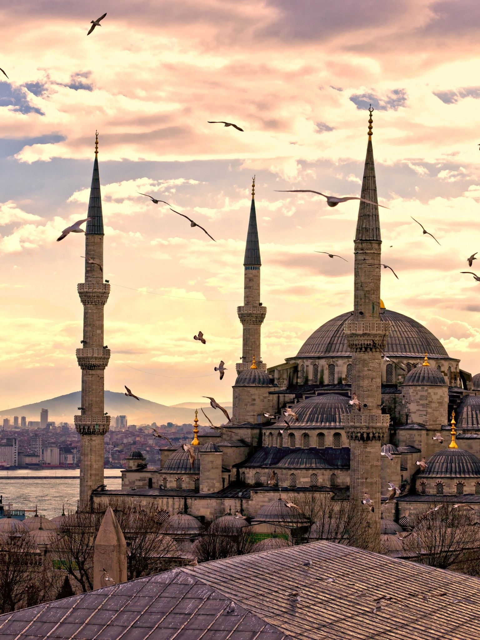 City Turkey Istanbul Sultanahmet Mosque Wallpaper - [1536x2048]