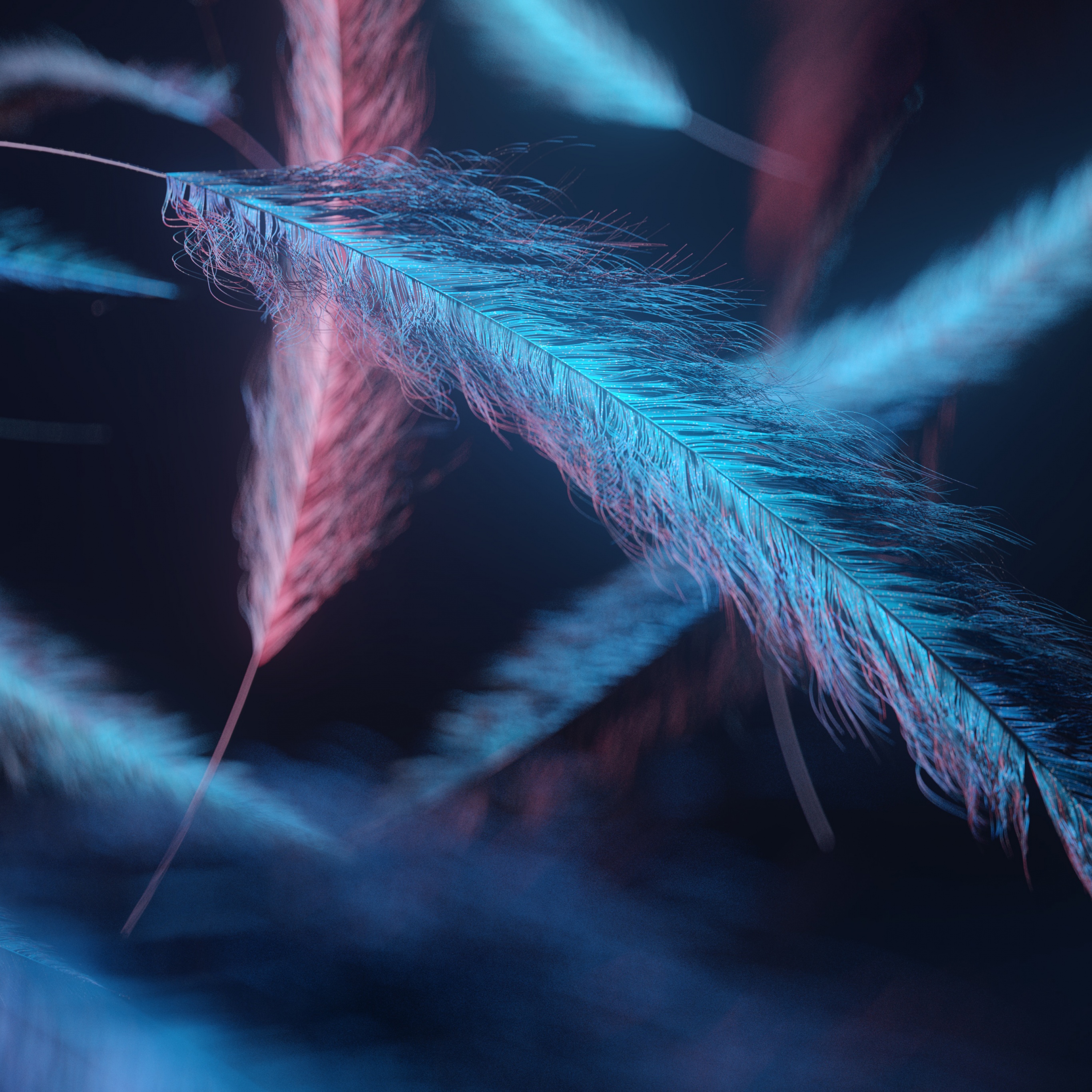 Feathers Wallpaper 4K, Macro, Dark background, Abstract