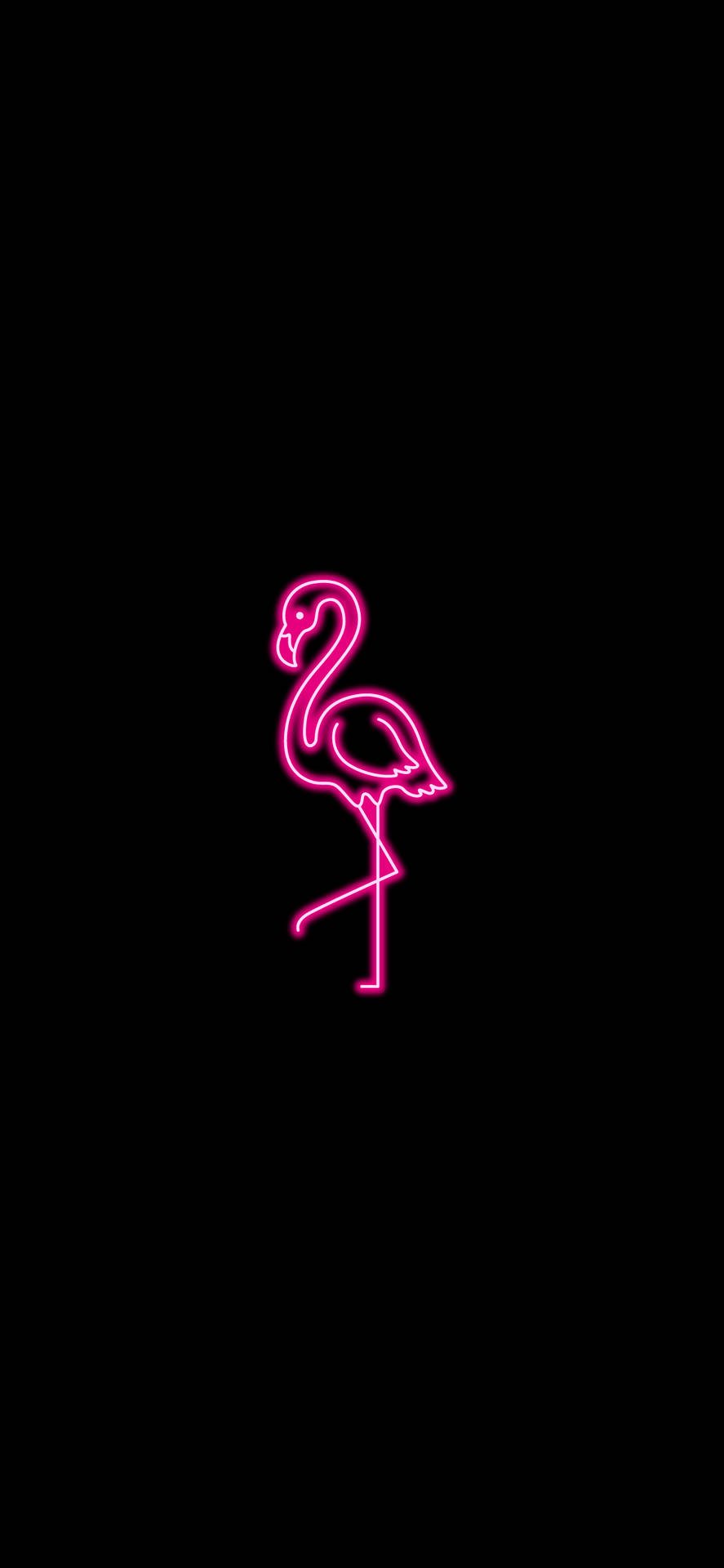 Download Neon Pink Aesthetic Flamingo Wallpaper