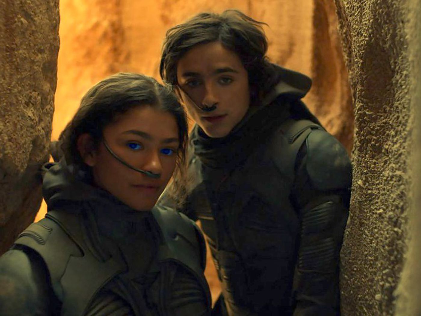 Dune sequel: Here's what Dune Part Two will be about if it happens