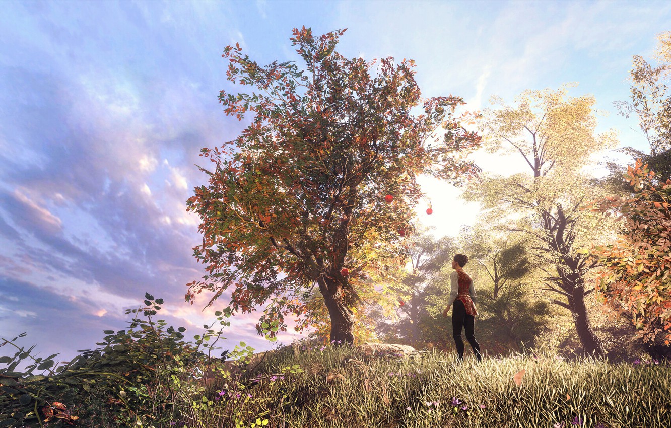 Wallpaper Apple, A Plague Tale Innocence, Amicia de Rune image for desktop, section игры