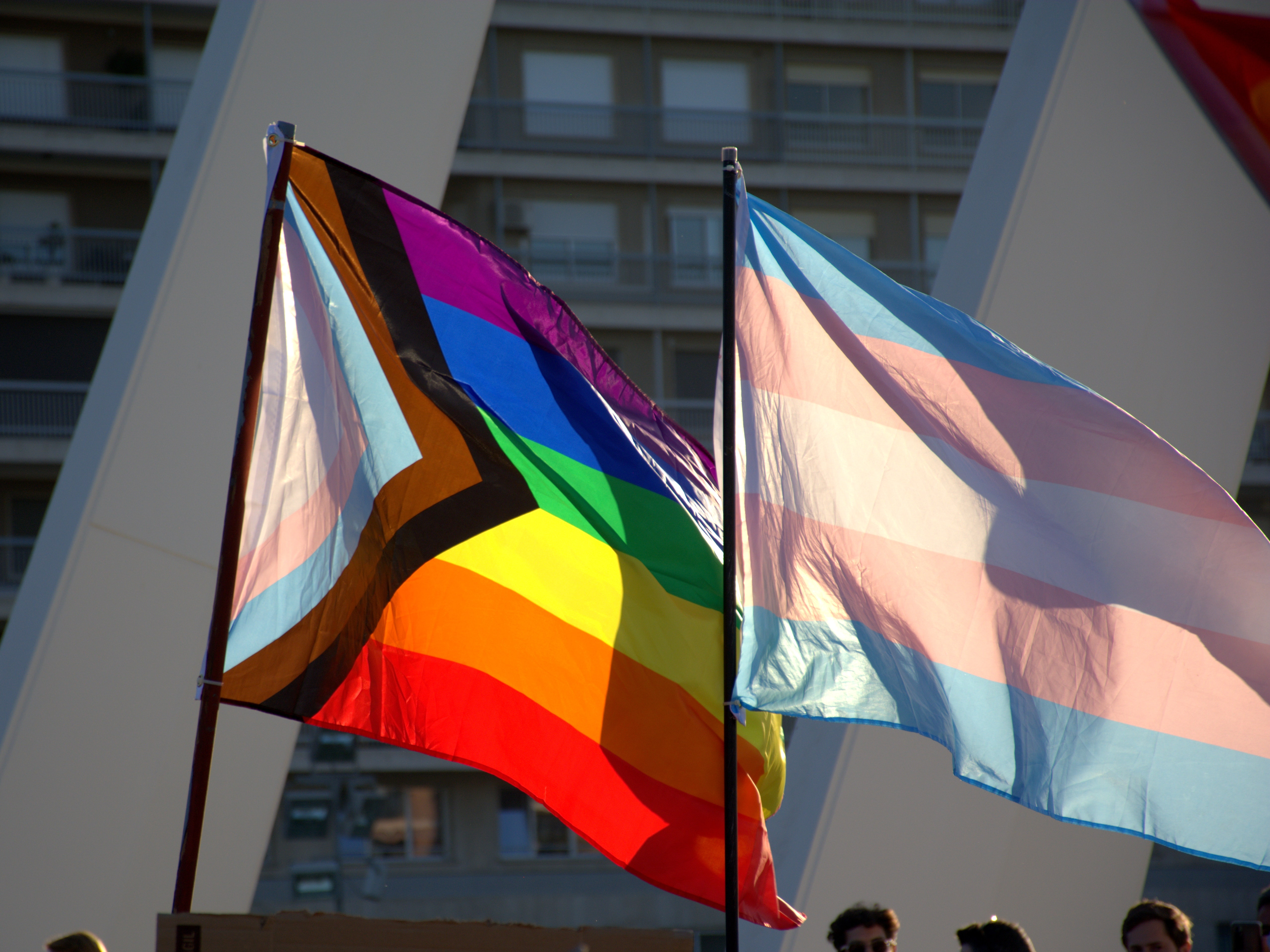 LGBTQ Flags: The History and Symbolism of 21 Flags