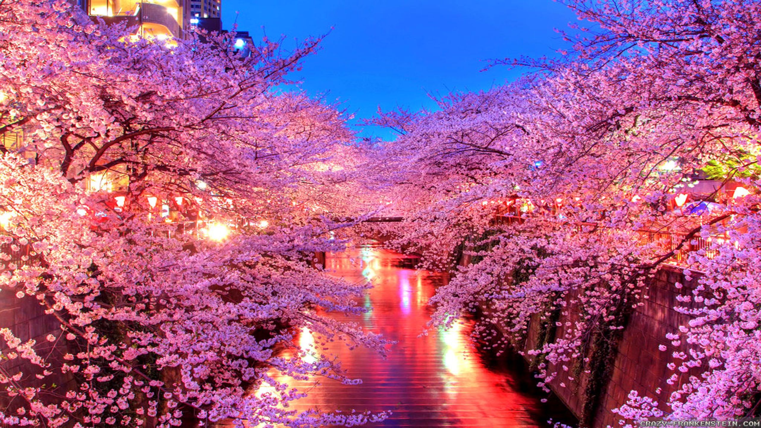 Pretty Japanese Wallpaper - Cherry blossom wallpaper, Spring wallpaper, Landscape wallpaper