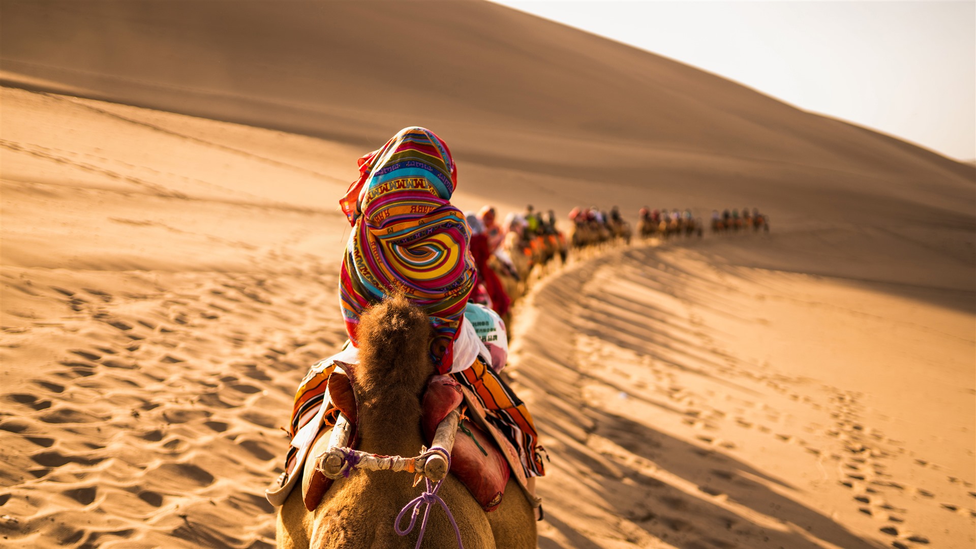 China Silk Road 2021 Camel Dunhuang