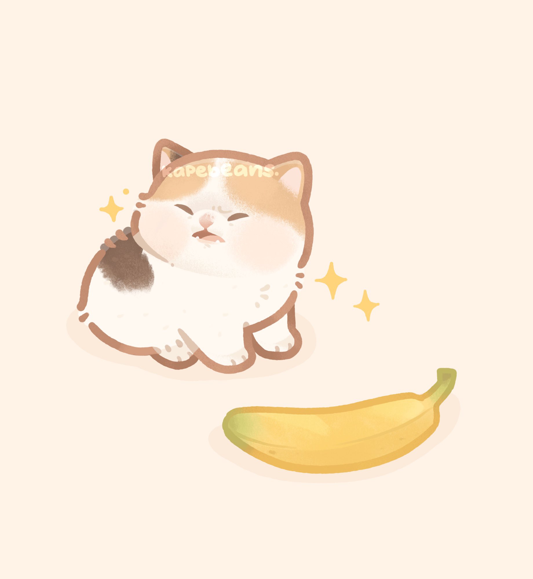 Cat Banana Wallpapers Wallpaper Cave