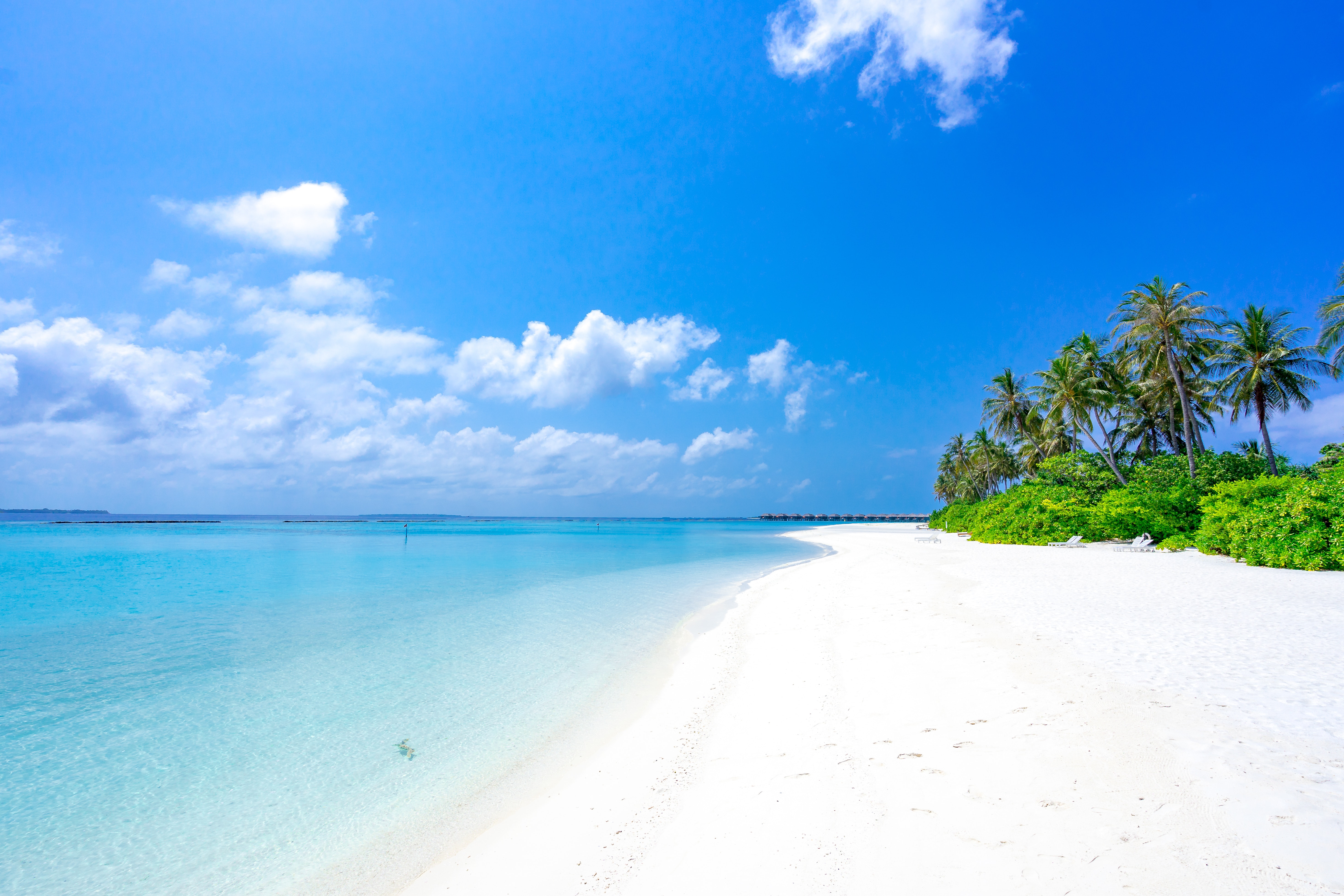 Tropical Beach Photo, Download The BEST Free Tropical Beach & HD Image