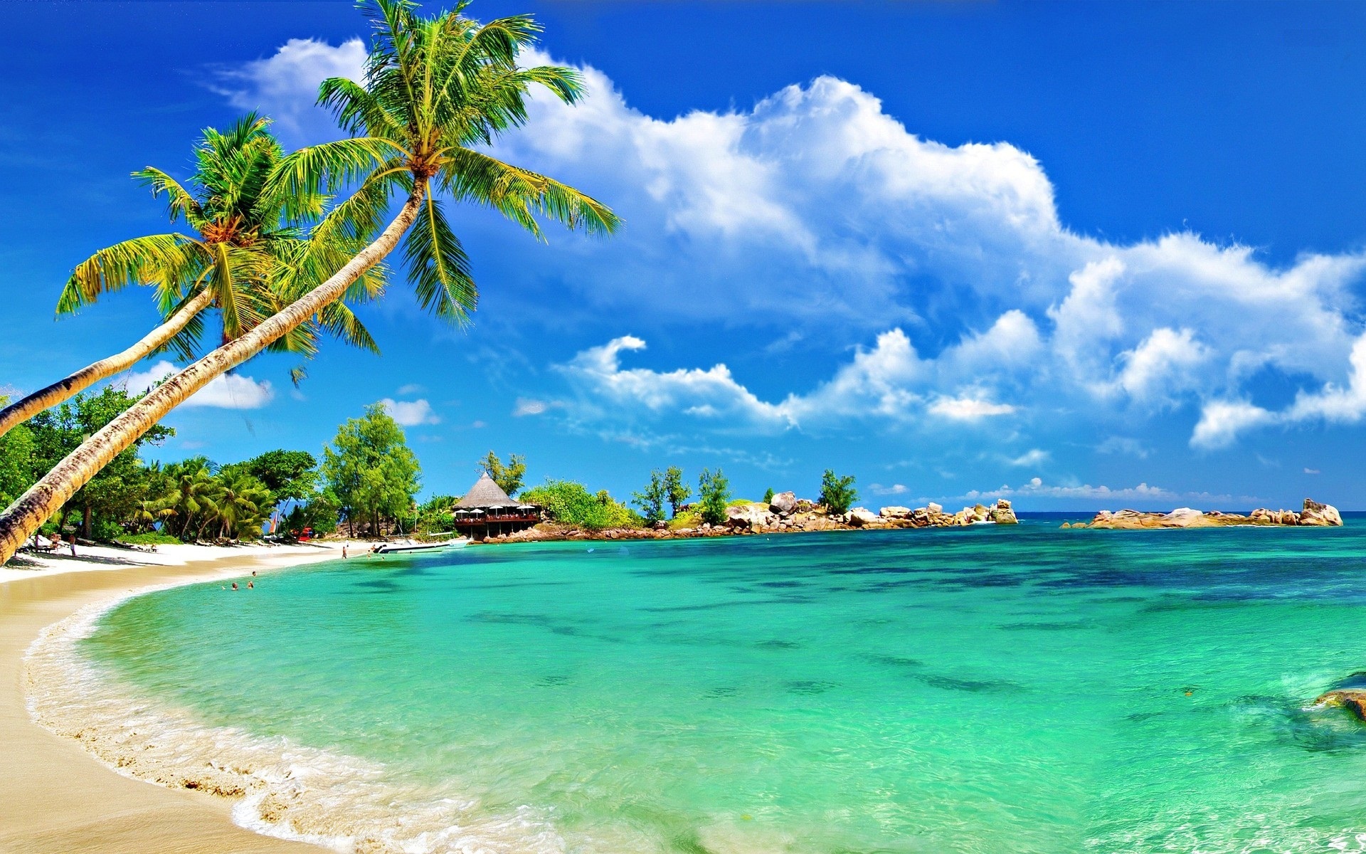 Tropical Beach Wallpaper