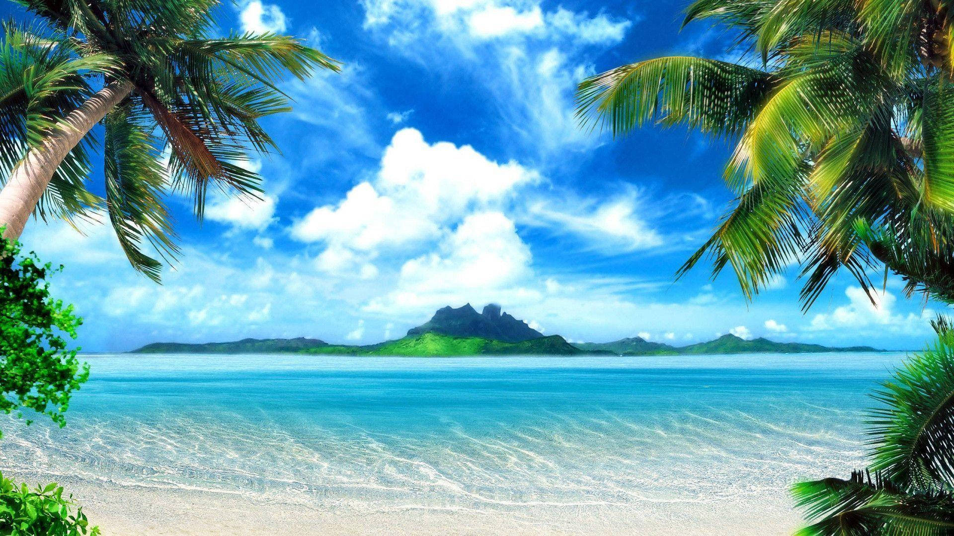 Download Pretty Tropical Beach Area Wallpaper