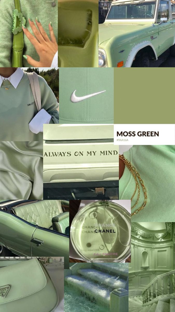 Wallpaper Moss Green Aesthetic. Green aesthetic, Green, Moss green