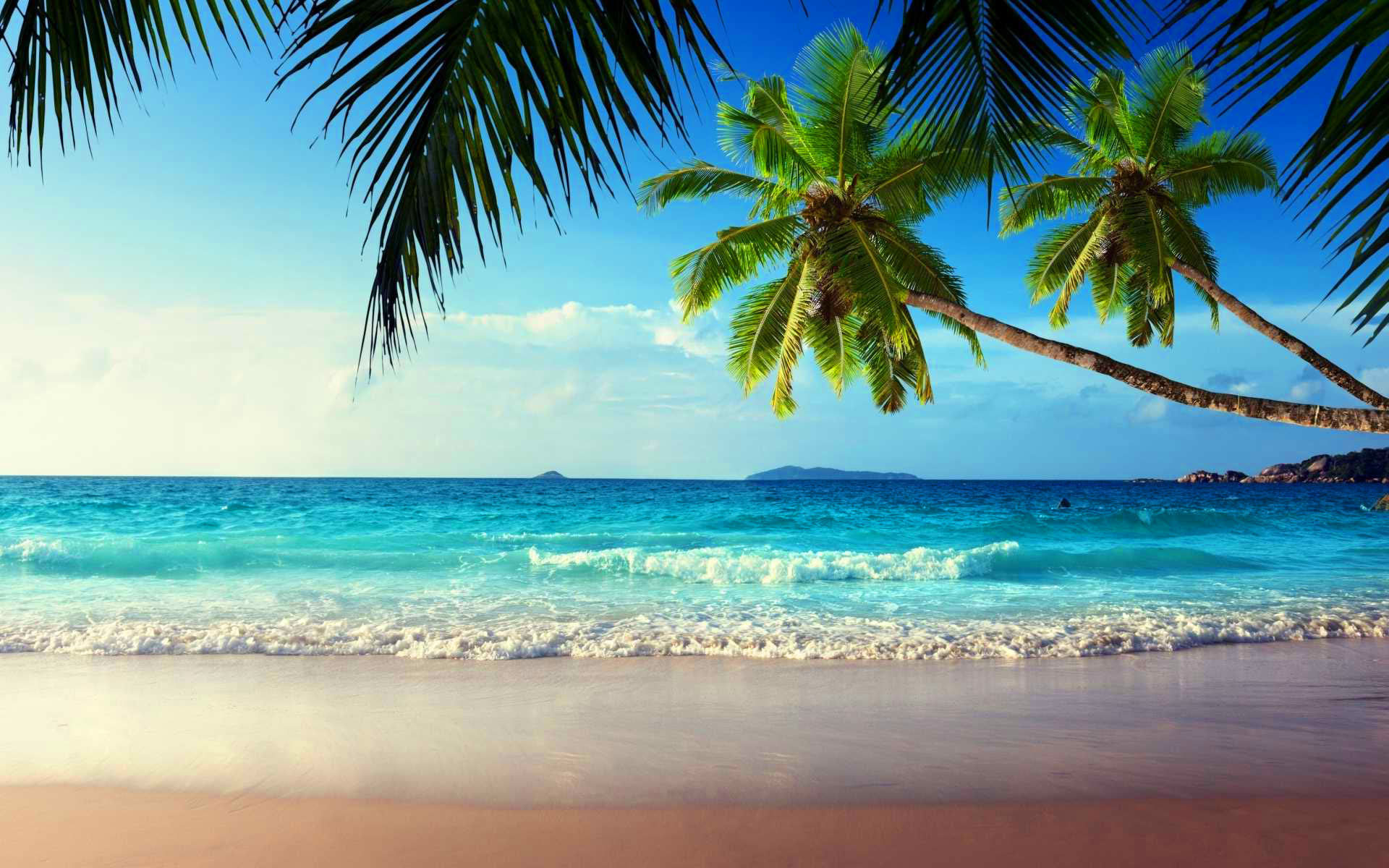 Tropical Beach With Palm Trees Ocean Sea Waves Wallpaper HD, Wallpaper13.com