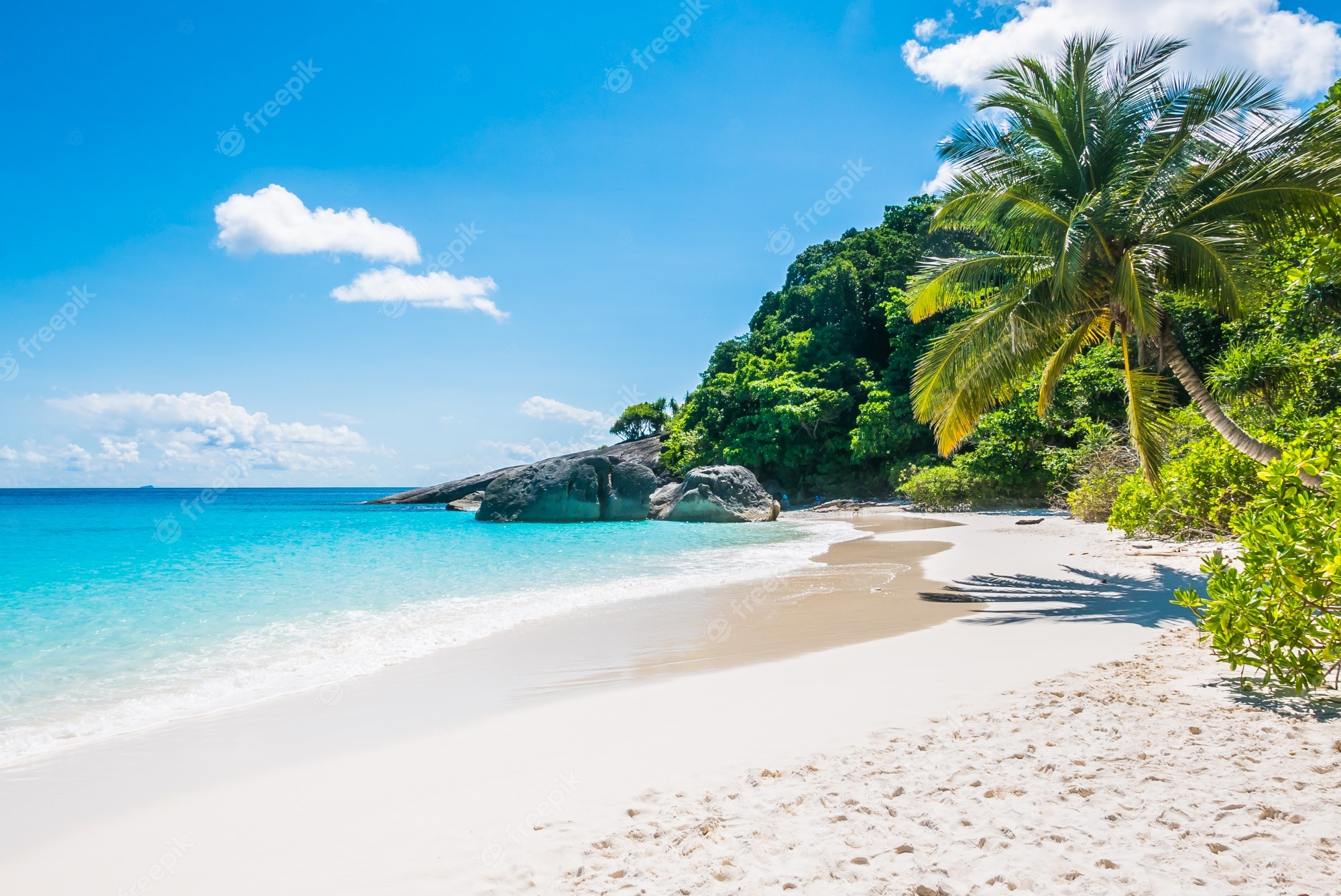 Tropical Beach Image