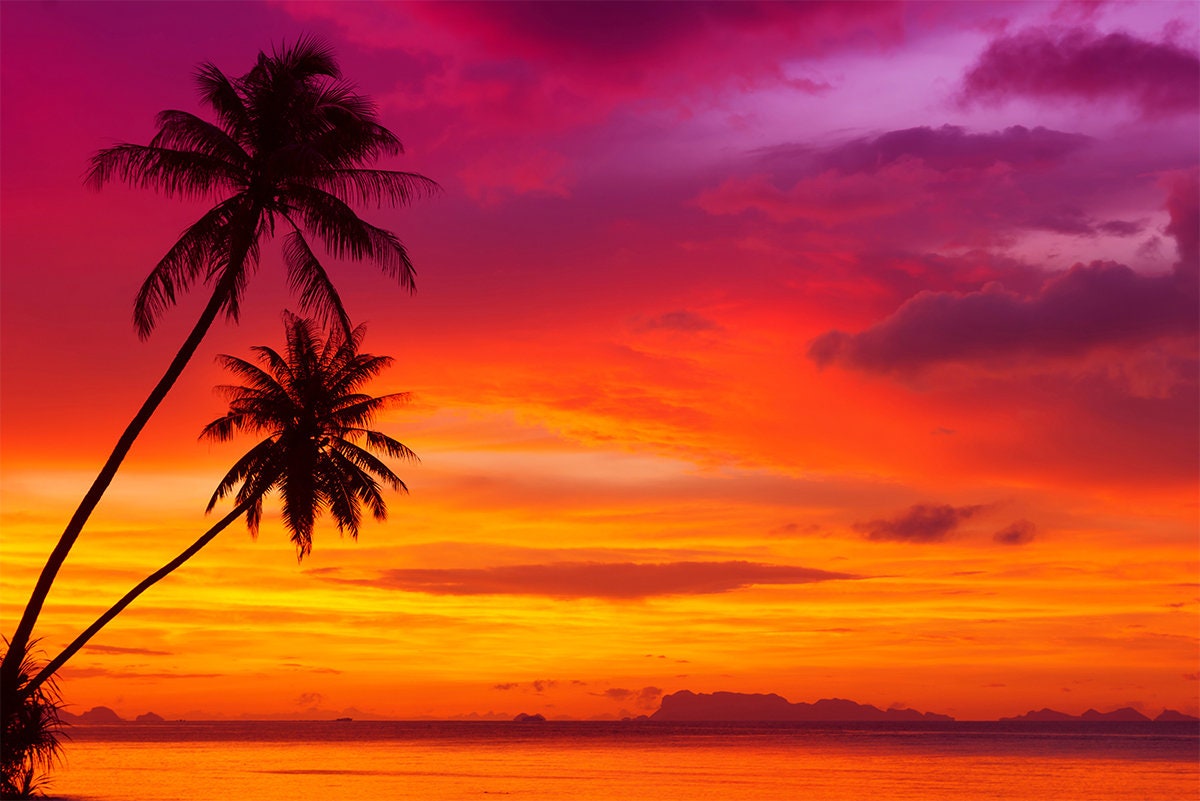 Purple Tropical Sunset WALL MURAL Beach Wallpaper Large Wall