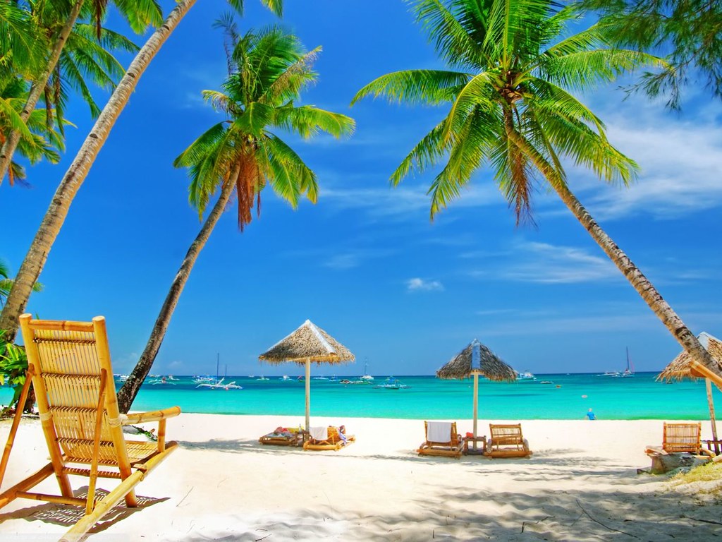 Tropical Beach Paradise Wallpaper