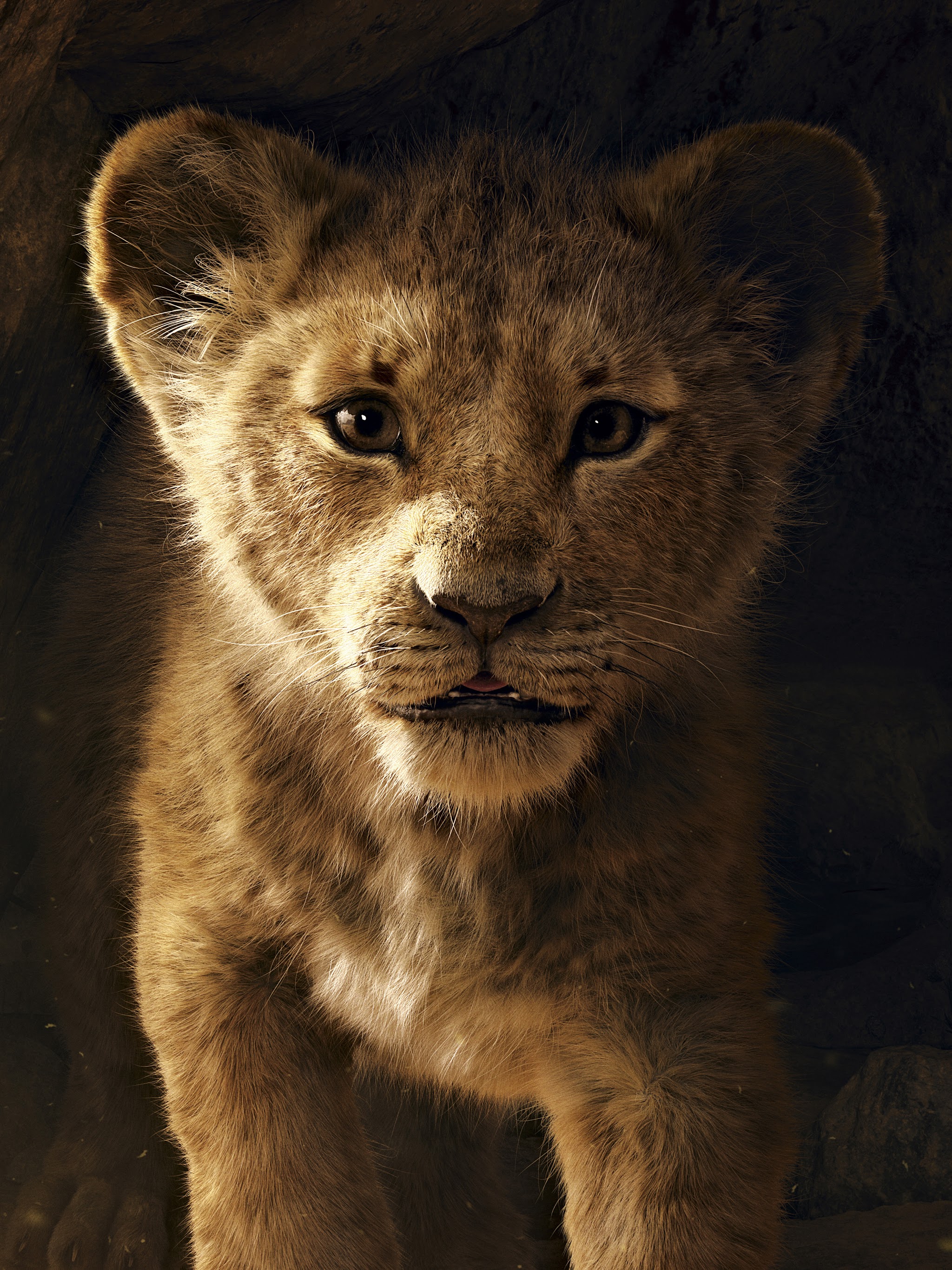 The Lion King 2019 Simba 8K Wallpaper