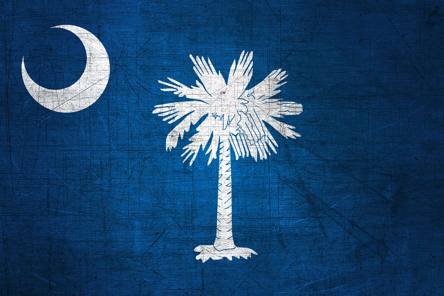 South Carolinian Flag Metal (Flag of South Carolina) it for free