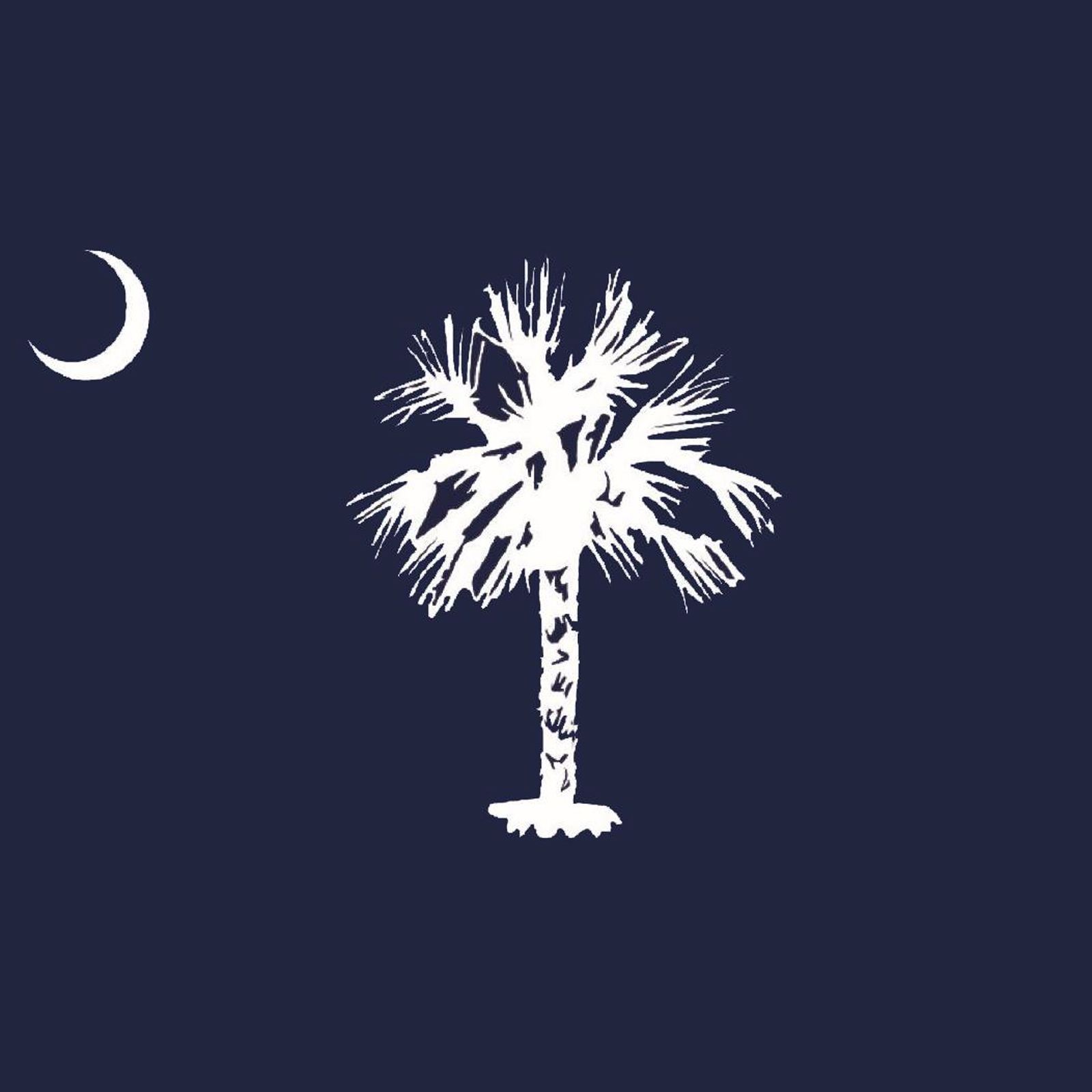 South Carolina Flag Wallpapers - Wallpaper Cave