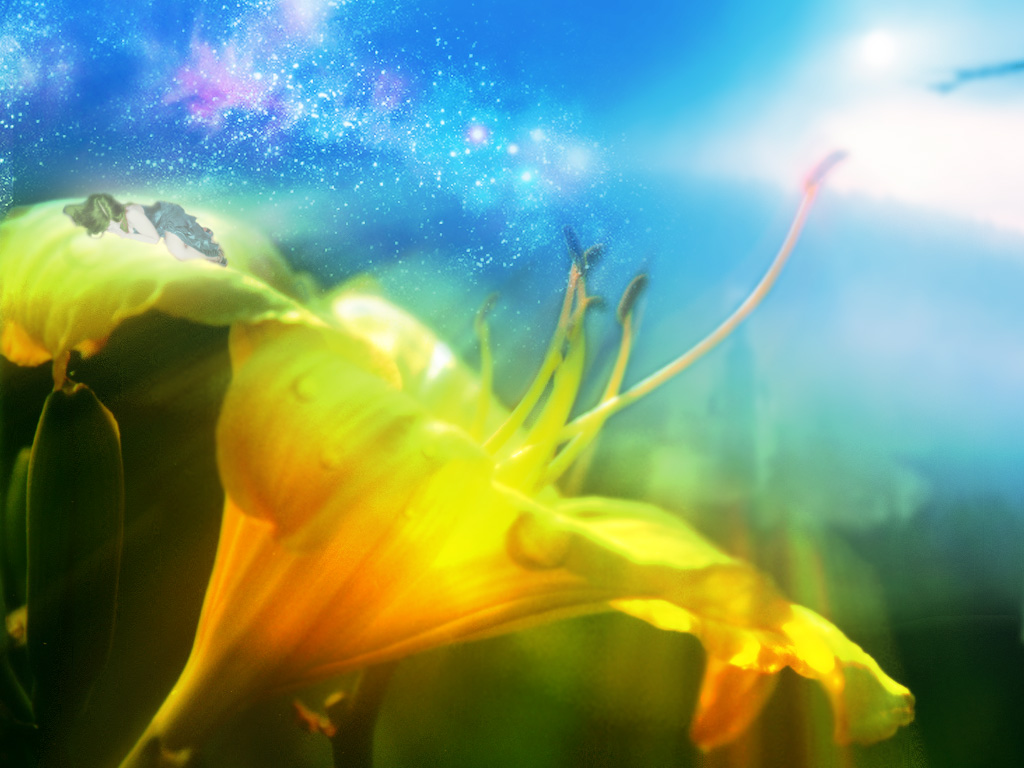 Flower Wallpaper HD Fantasy Flowers