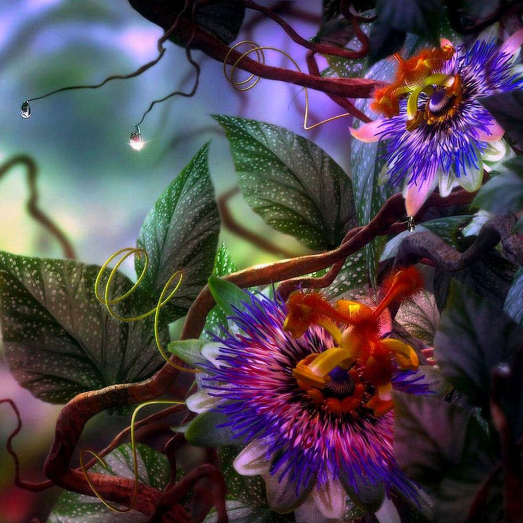 Free download 3D Fantasy Flowers Picture toon [1024x1024] for your Desktop, Mobile & Tablet. Explore Exotic Flower Wallpaper. Exotic Wallpaper, Exotic Car Wallpaper, Exotic Cars Wallpaper