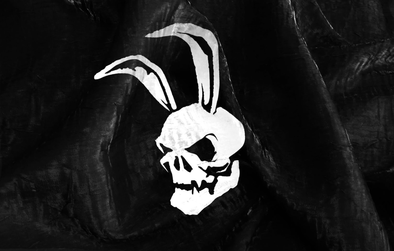 Wallpaper black, skull, Bunny, ears image for desktop, section разное
