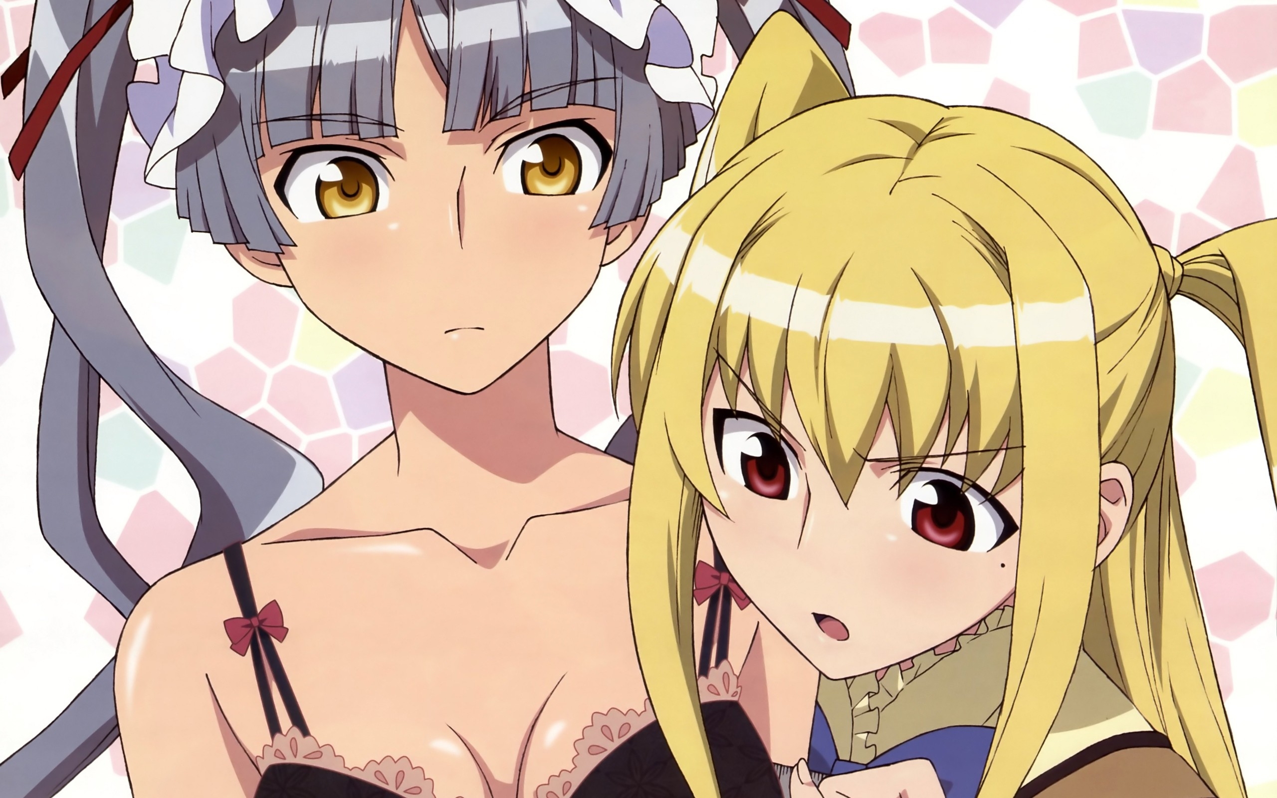 Wallpaper, illustration, anime, artwork, cartoon, Maria Holic, girl, posture, look, mangaka, shinouji matsurika 2560x1600