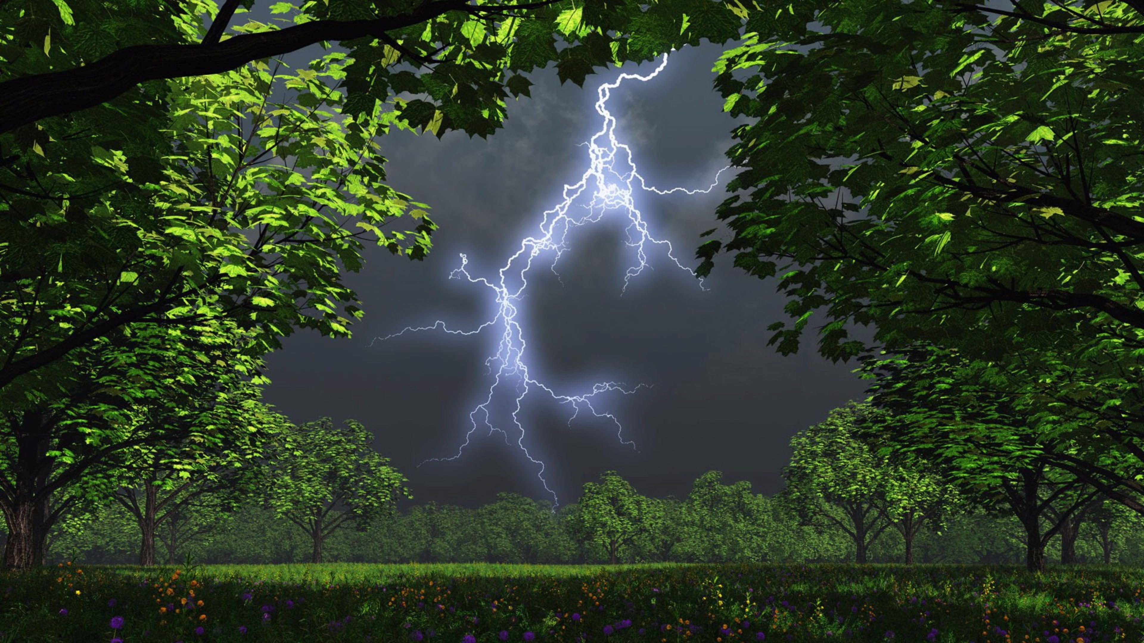 Wallpaper Thunderstorm, Lightning, Storm, Cloud, Thunder, Background Free Image