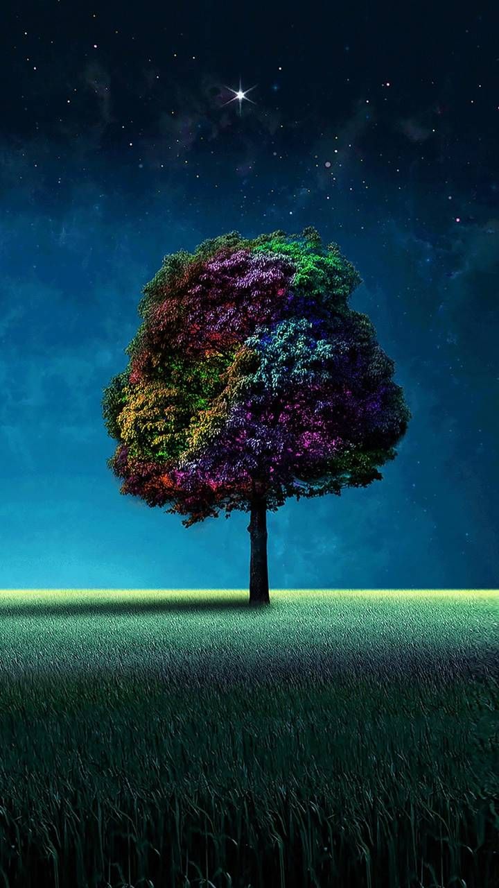 Download Colorful tree wallpaper by misia_bela now. Browse millions of popular bea. Tree wallpaper iphone, Scenery wallpaper, Tree wallpaper