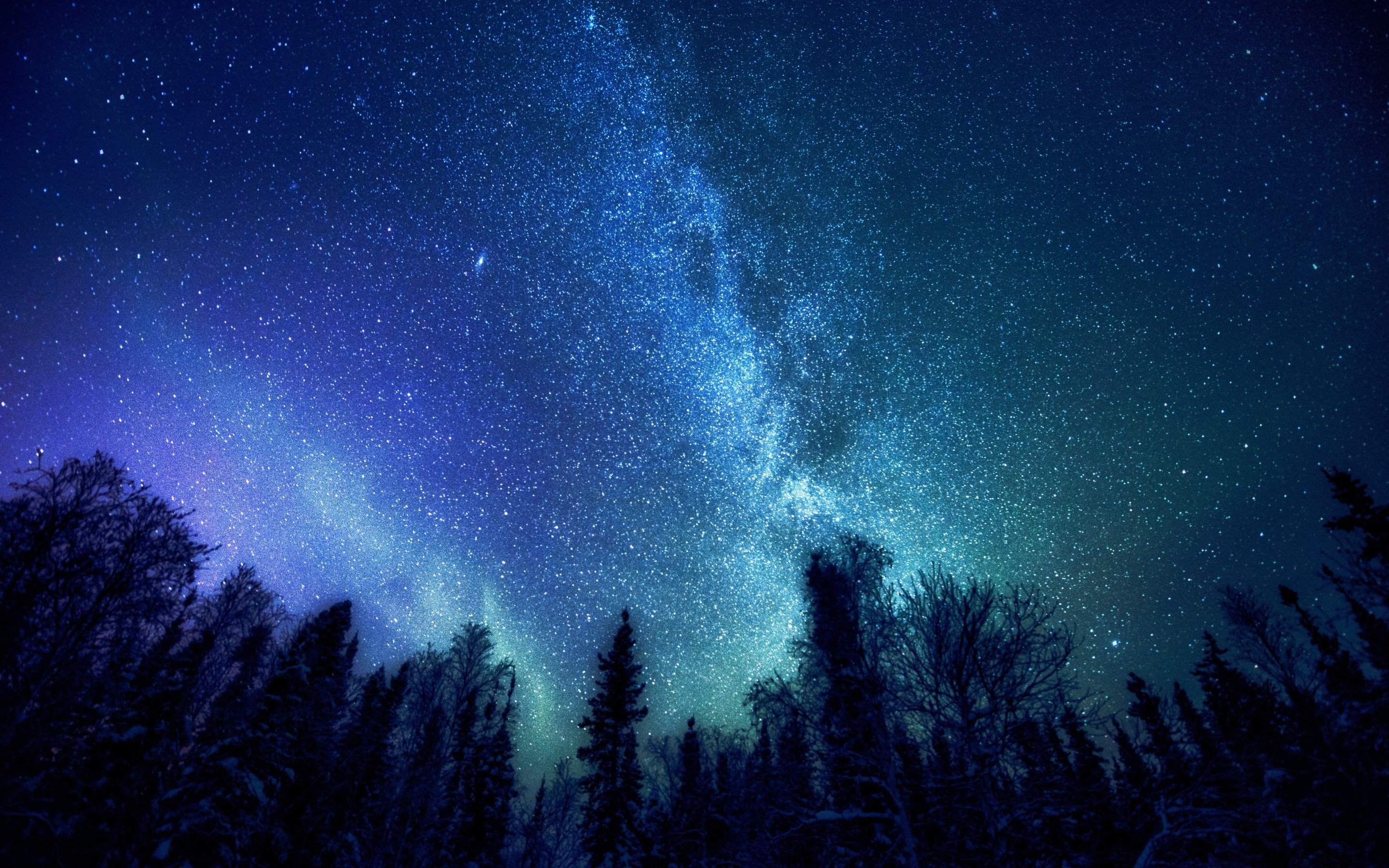 Wallpaper, trees, night, galaxy, nature, sky, stars, Milky Way, atmosphere, astronomy, Aurora, midnight, star, outer space, astronomical object 2880x1800