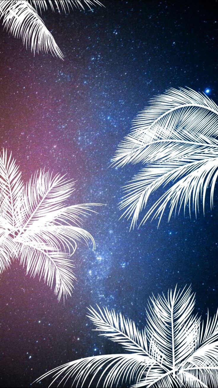 Palm trees. Wallpaper. iPhone wallpaper, Galaxy wallpaper, Wallpaper