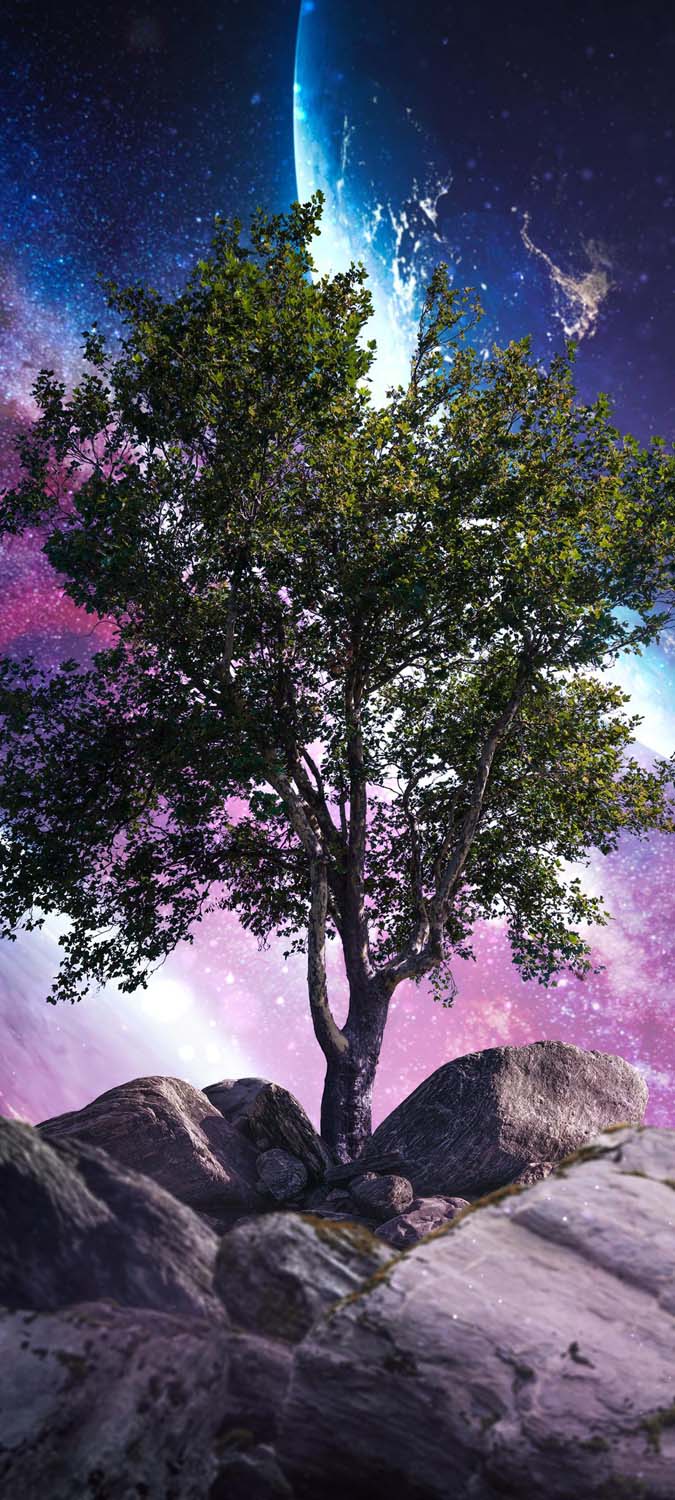 Galaxy Tree IPhone Wallpaper HD Wallpaper, iPhone Wallpaper