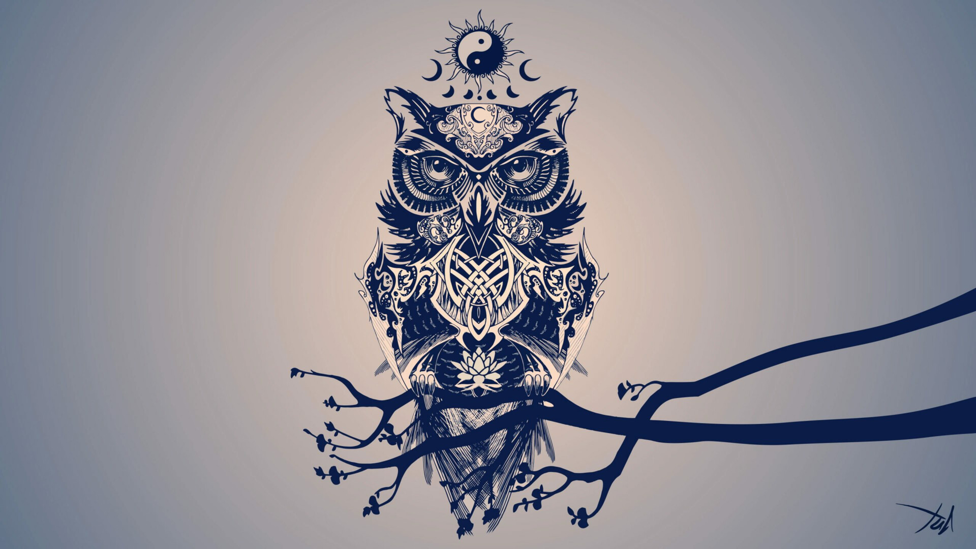Owl Wallpaper