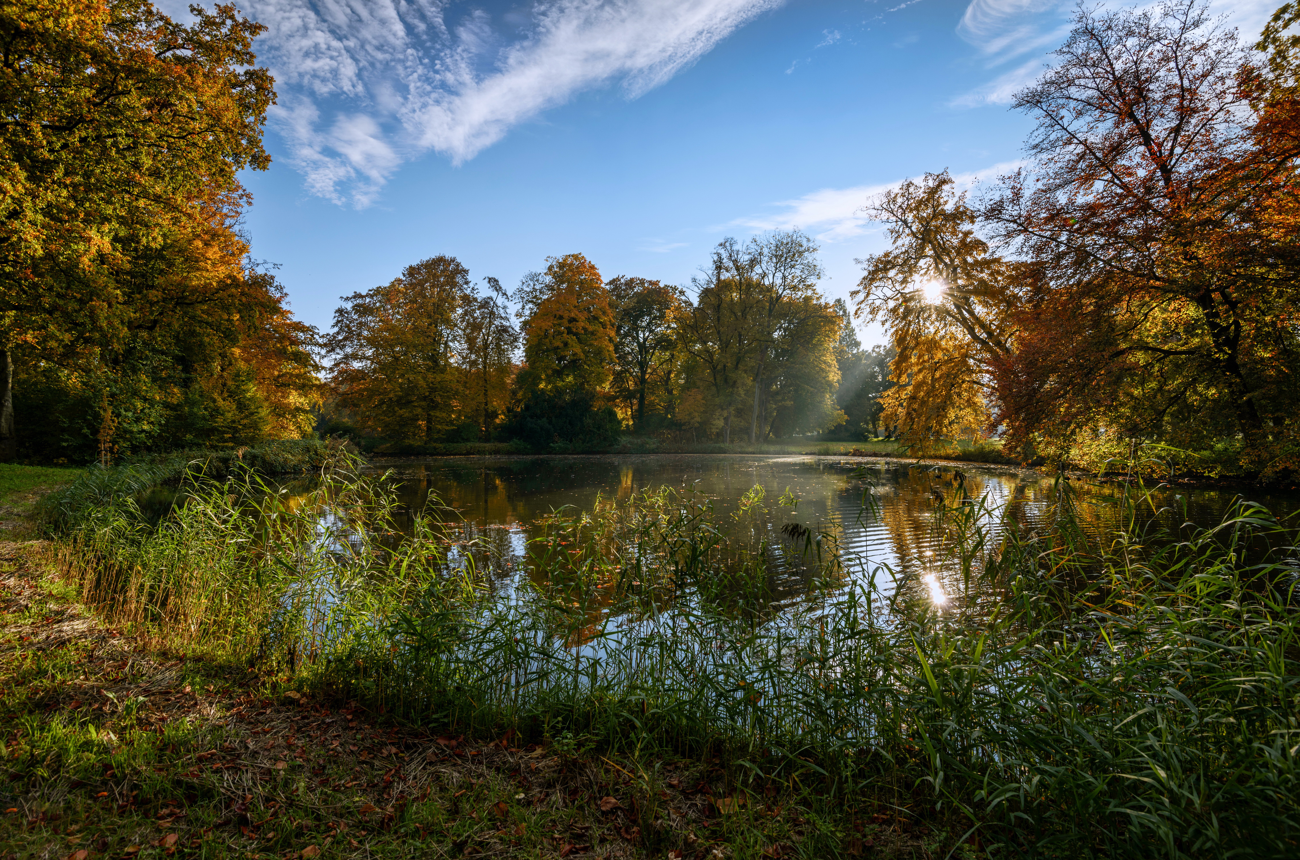 HD desktop wallpaper: Pond, De Haar Castle Park, Nature, Netherlands, Summer, Trees download free picture