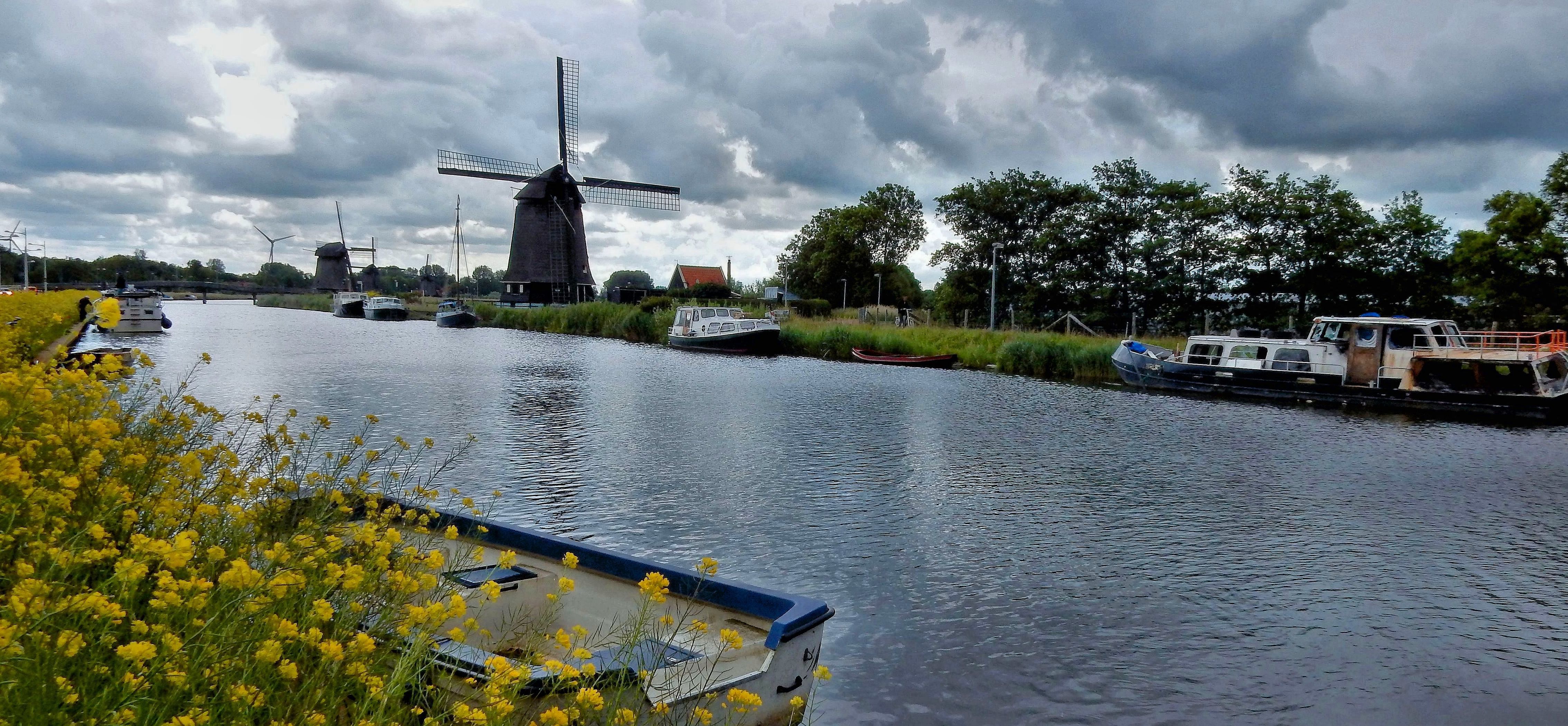 Wallpaper, sea, vehicle, river, summer, Netherlands, mill, canal, holland, Rapeseed, noordholland, nederland, zomer, moulin, molen, waterway, koolzaad, alkmaar, zeswielen, hoornsevaart, molenkade, grondzeiler, strijkmolen, boezemmolen