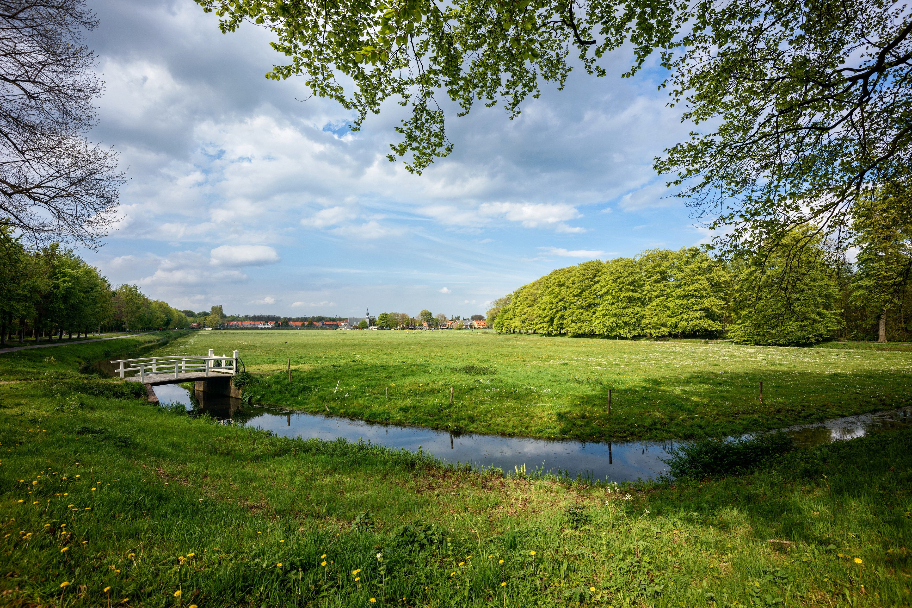 Elswout, Scenery, Netherlands, Summer, Pond, Grass Gallery HD Wallpaper