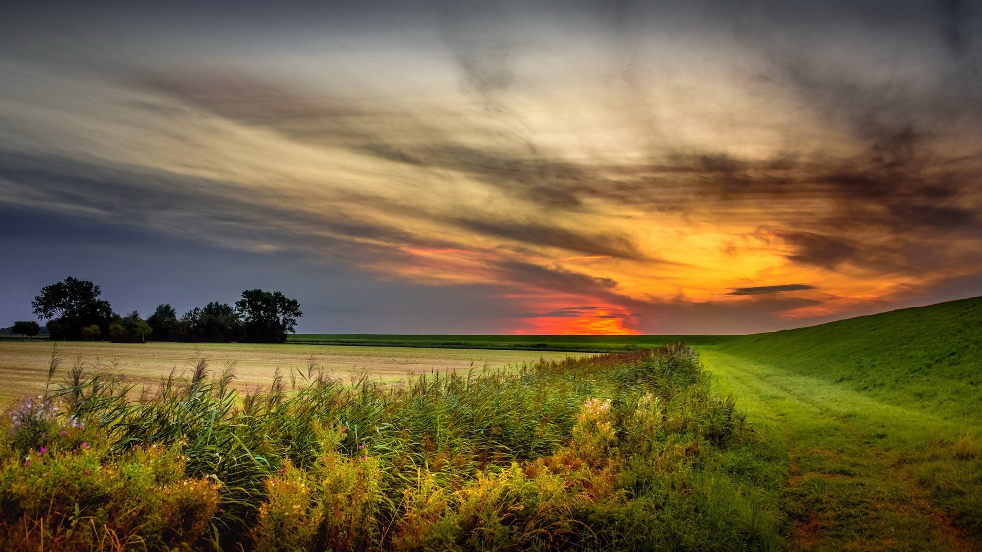 sky nature sunset field summer netherlands holland