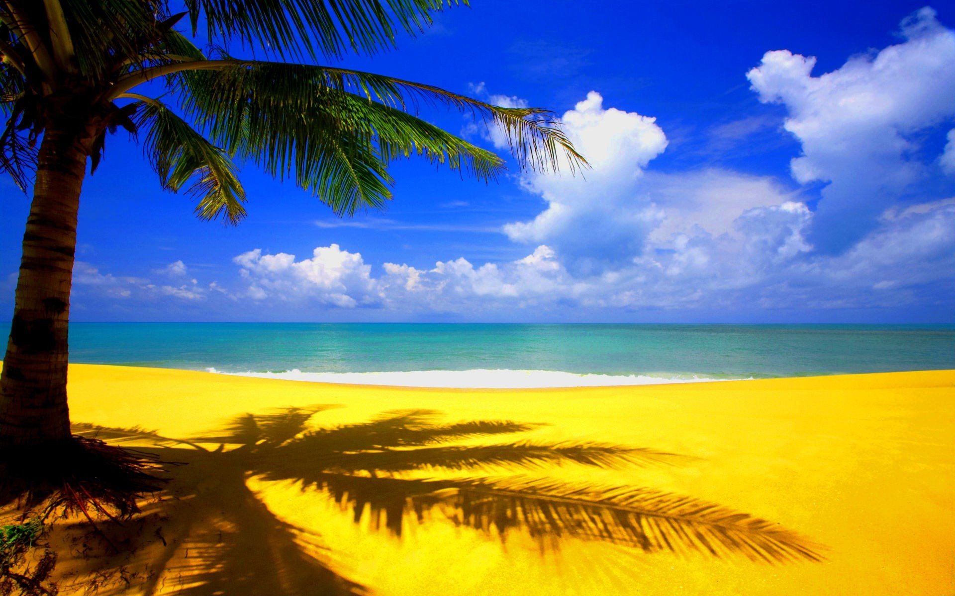 Cute Summer Wallpaper