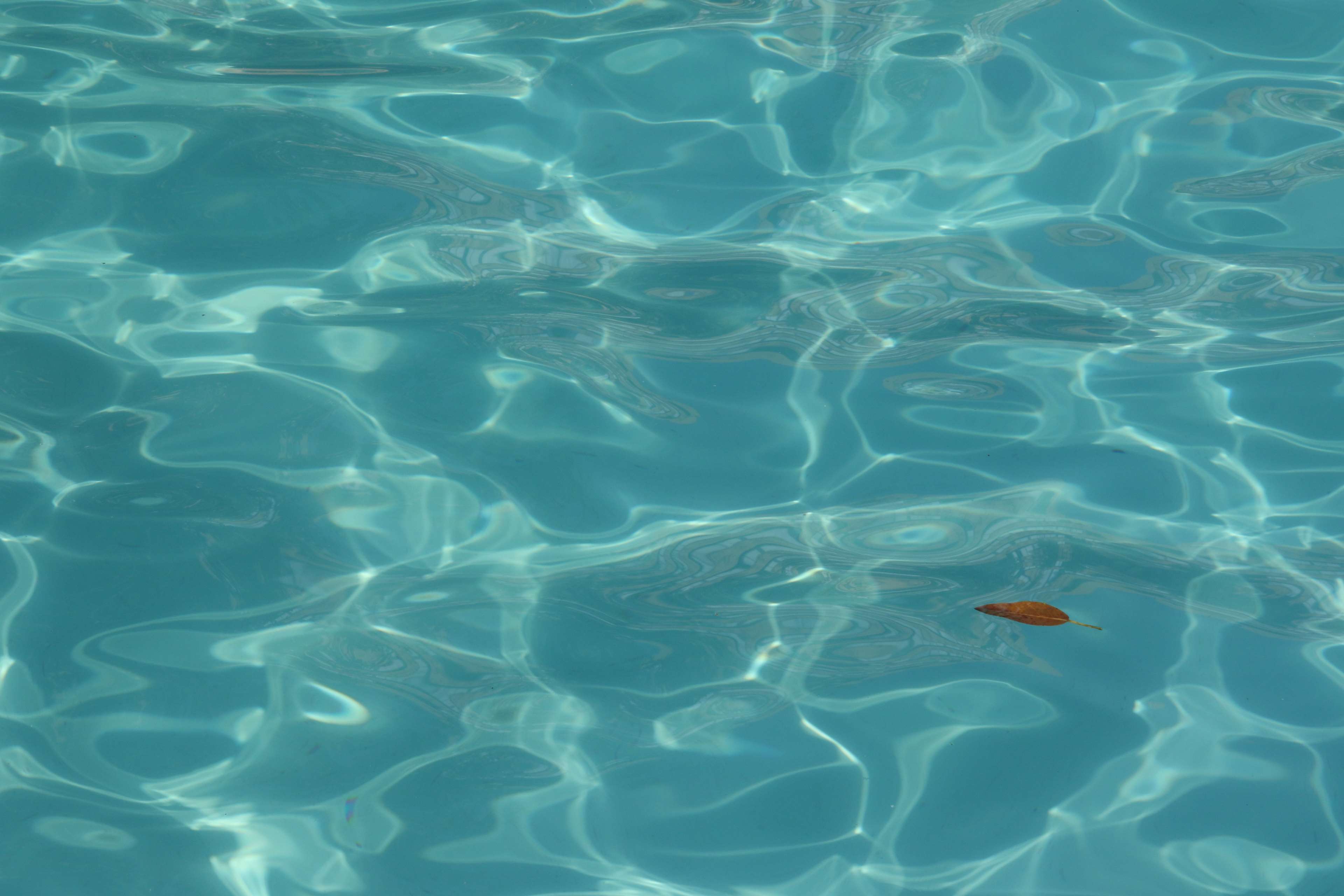 blue, leave, summer, swim, swimming pool, water 4k Gallery HD Wallpaper