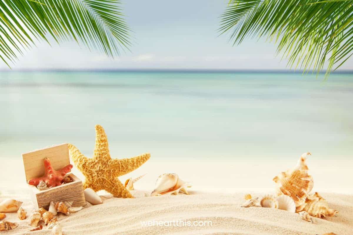 Summer Softie Wallpapers Wallpaper Cave