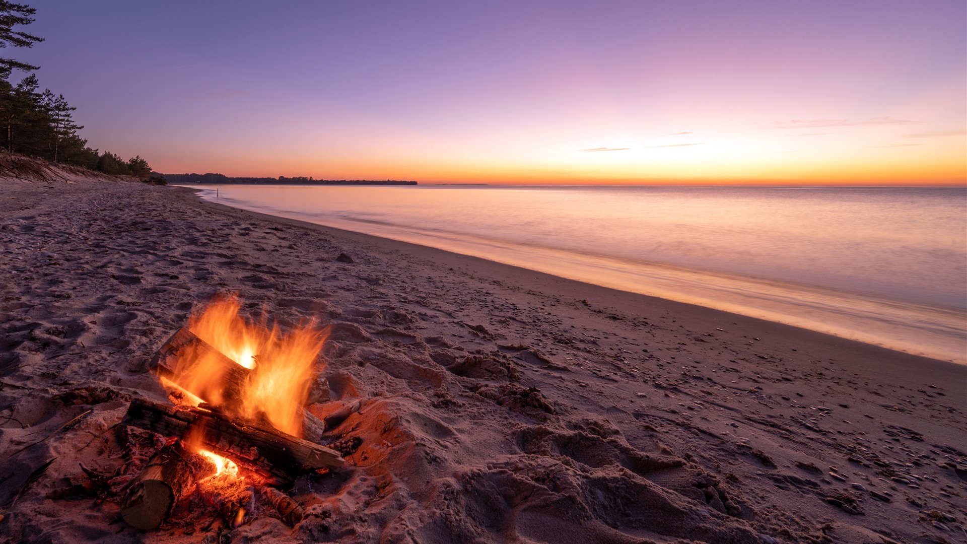 Bonfire Coast Sunset Beach Lane County