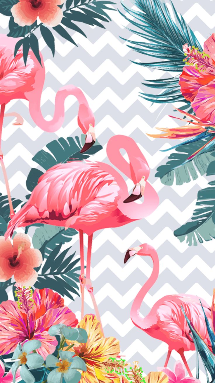 Free download Flamingo Wallpaper Browse Flamingo Wallpaper with collections of [736x1307] for your Desktop, Mobile & Tablet. Explore Pink Summer Flowers Desktop Wallpaper. Pink Flowers Background, Pink Flowers Wallpaper