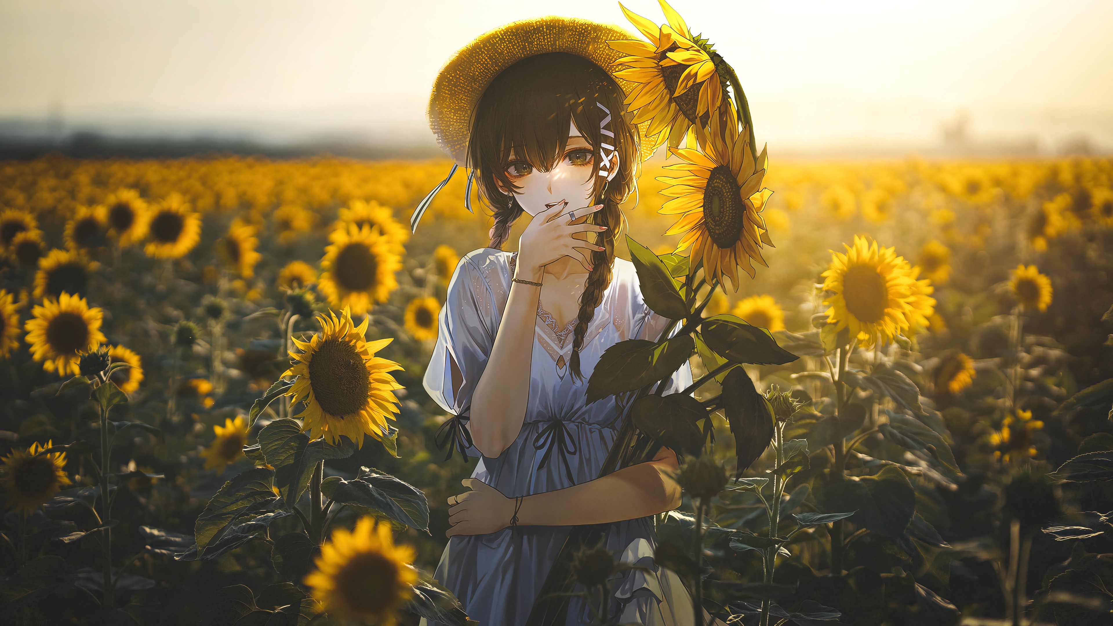 anime, girl, sunflower, field, scenery, 4k Gallery HD Wallpaper