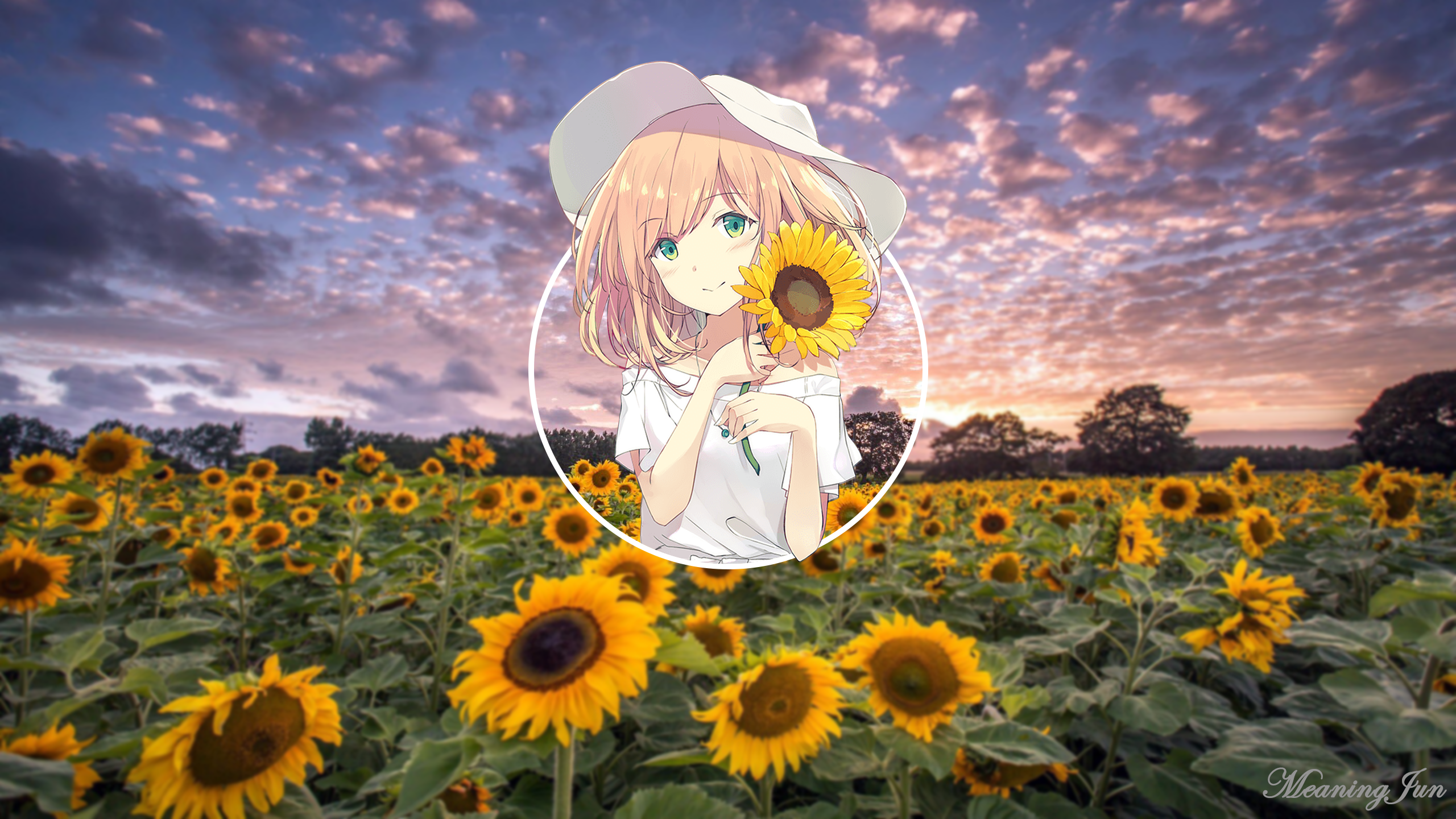 Wallpaper / 2D, Anime Girls, Anime, Picture In Picture, MeaningJun, Sunflowers, Sunset Free Download