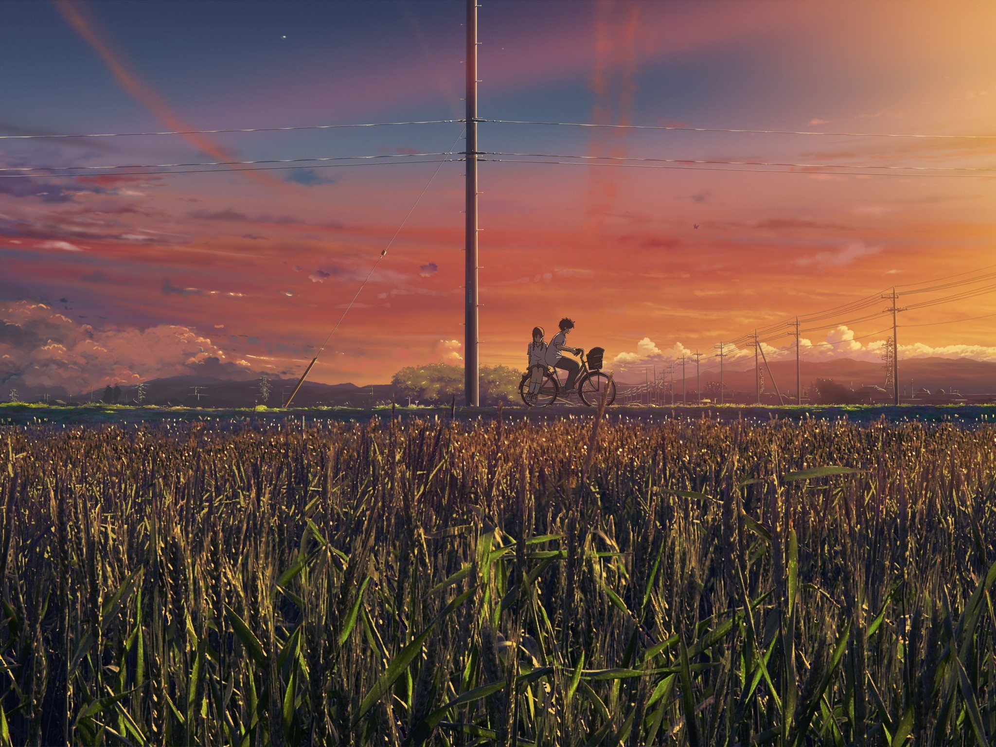 landscape bicycle sunset grass anime wallpaper
