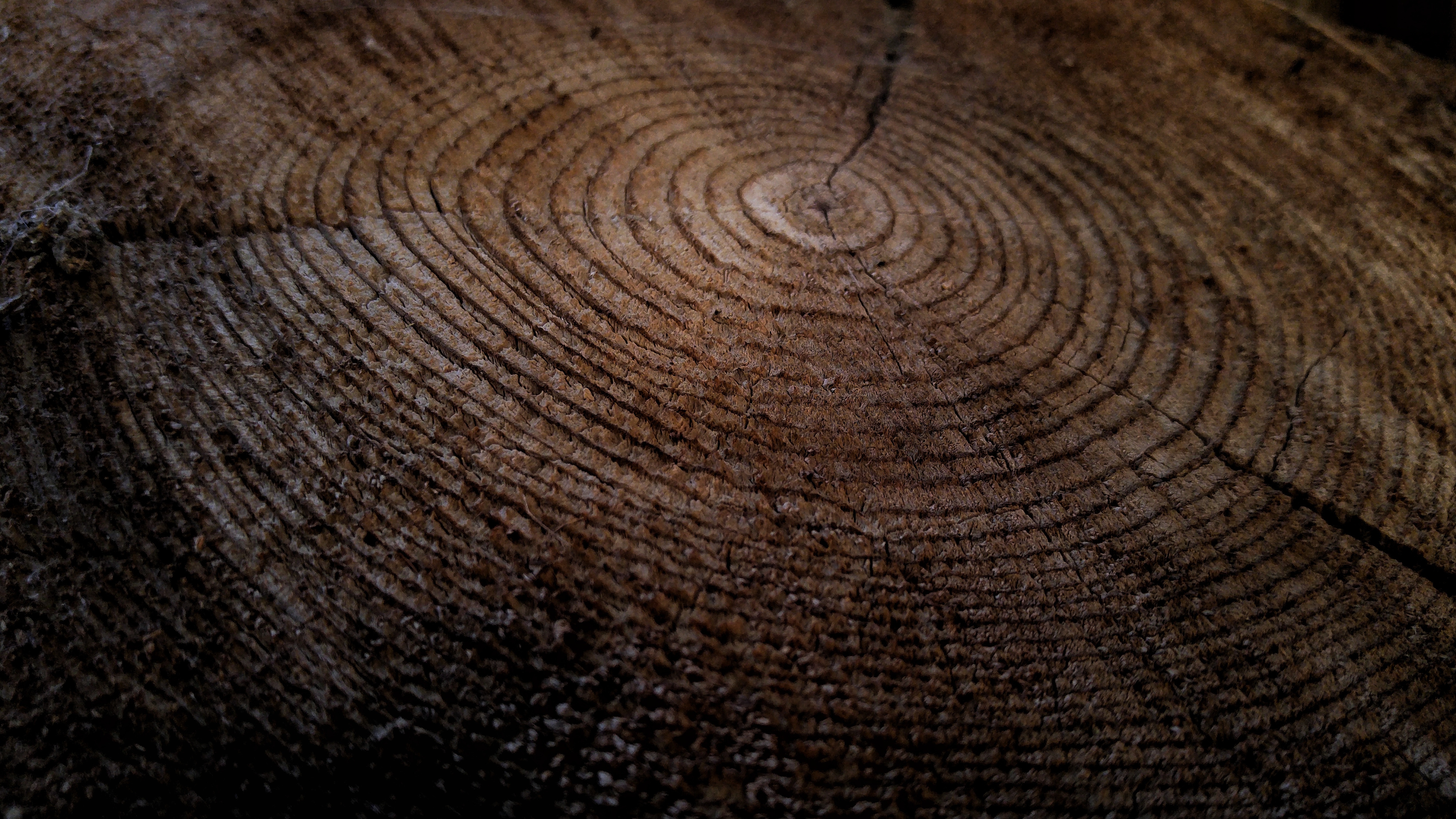 5312x2988 hole, tree, circle, wood, texture, tree stump, swirl, Public domain image Gallery HD Wallpaper